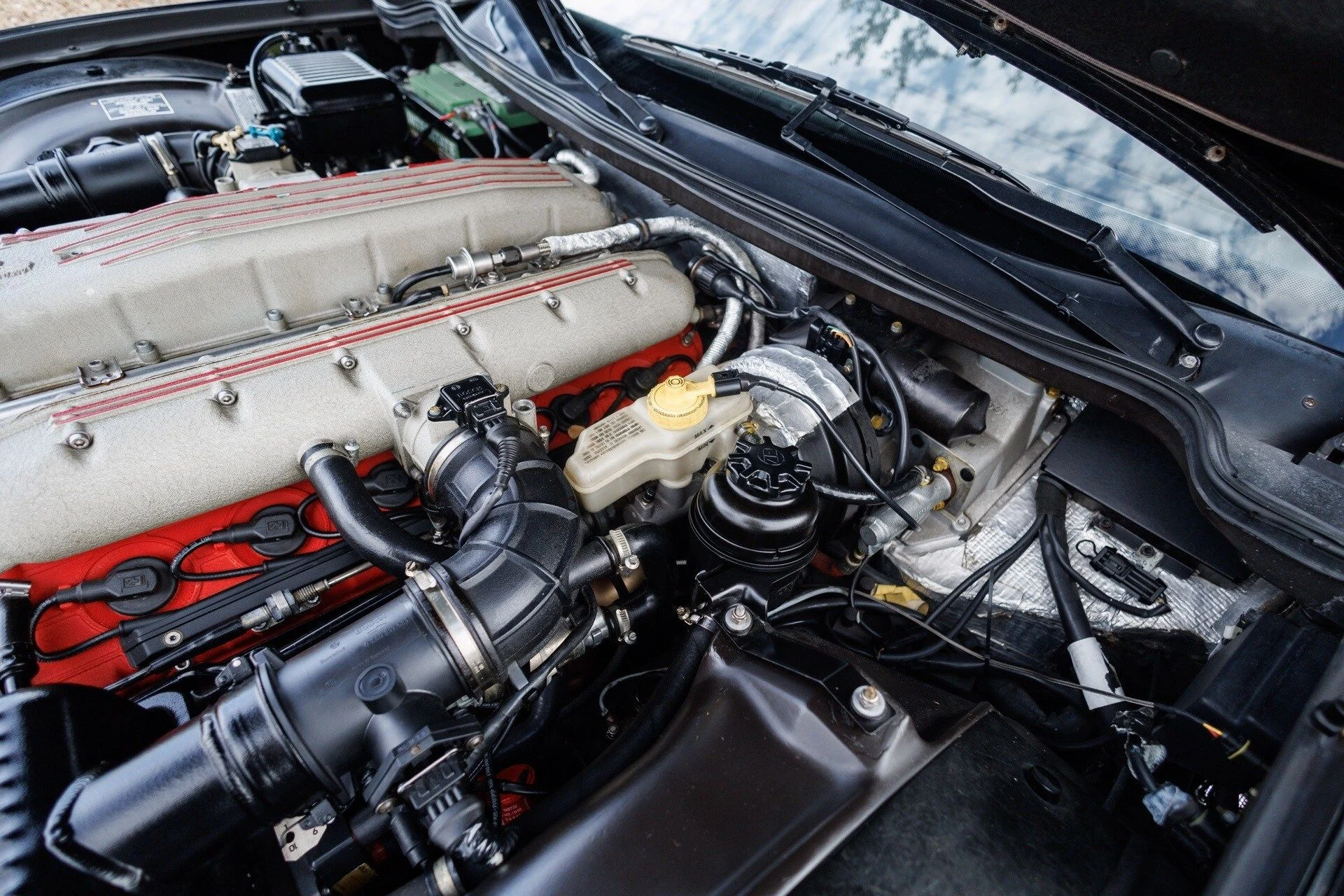 mph077_2348247502_cbbf3ccb87e829007a27748daa9637d6x_944d57e26b