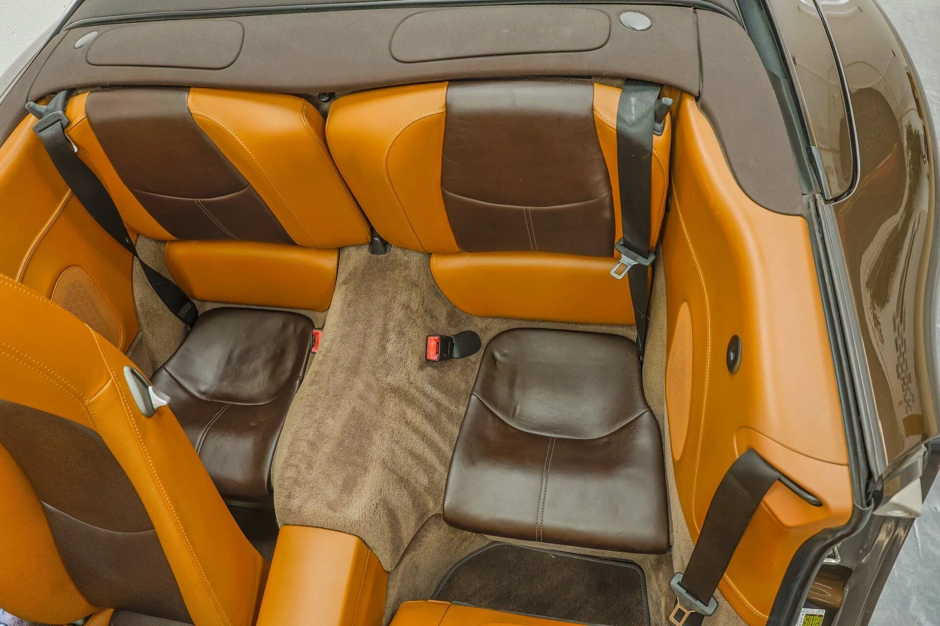 mph077_344005477_5503cc3851_1920_5ea0056ddd