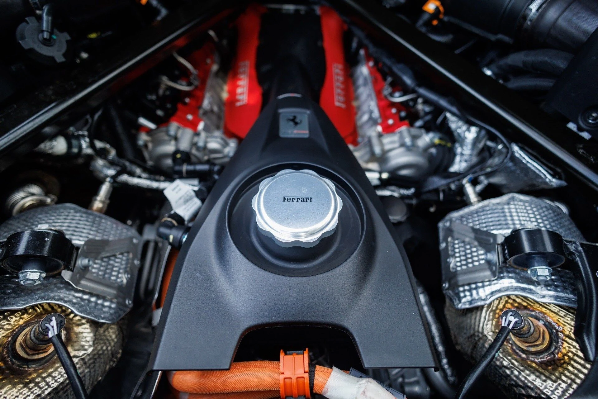 mph077_3677031222_6c2bf2fb5a1c9c539a218dd950453656x_8964f5293c