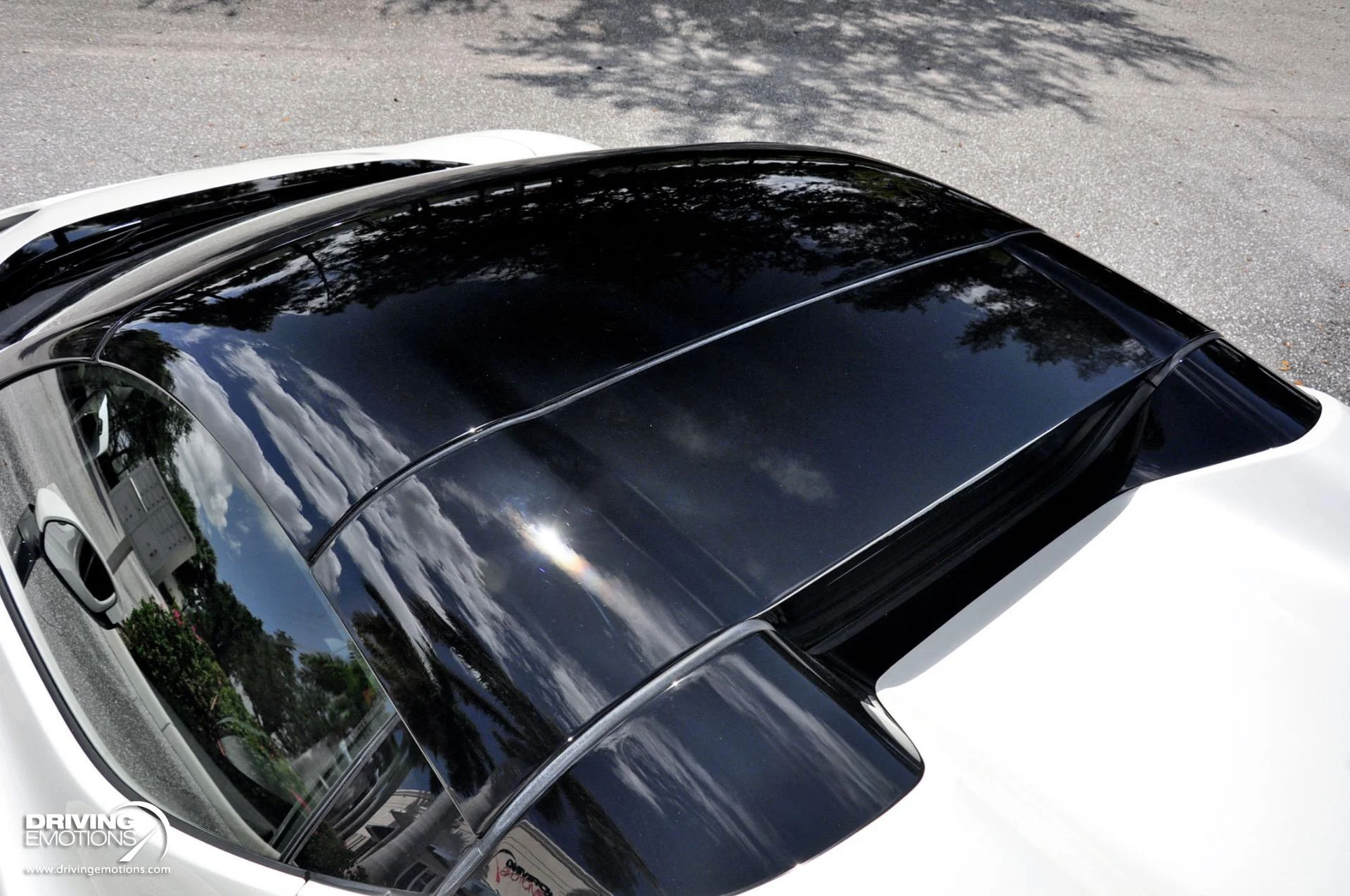 mph078_1343304954_859_p79_l_cce9e2c148