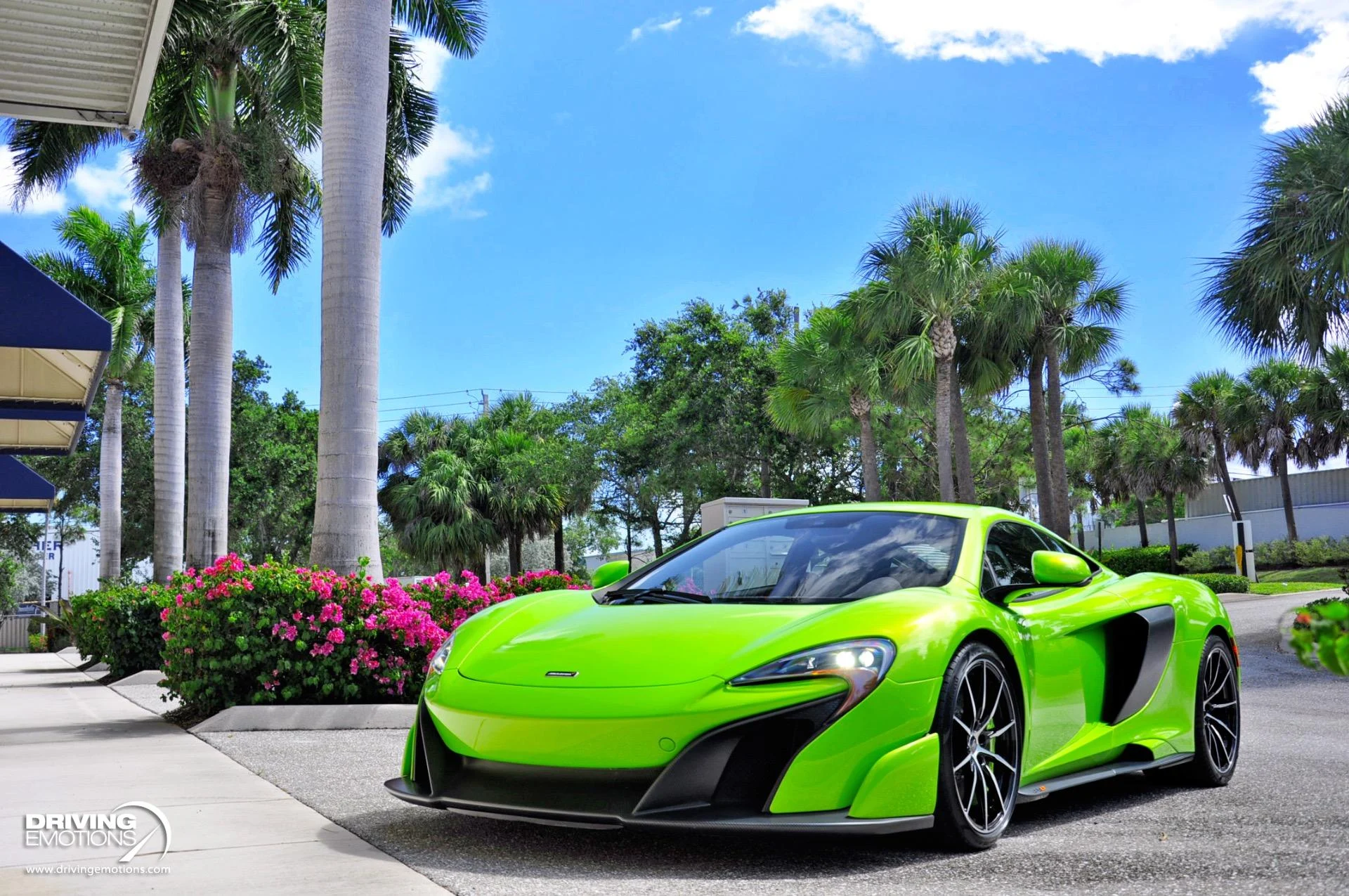 mph078_3249654100_855_p79_l_0f6f970d0d