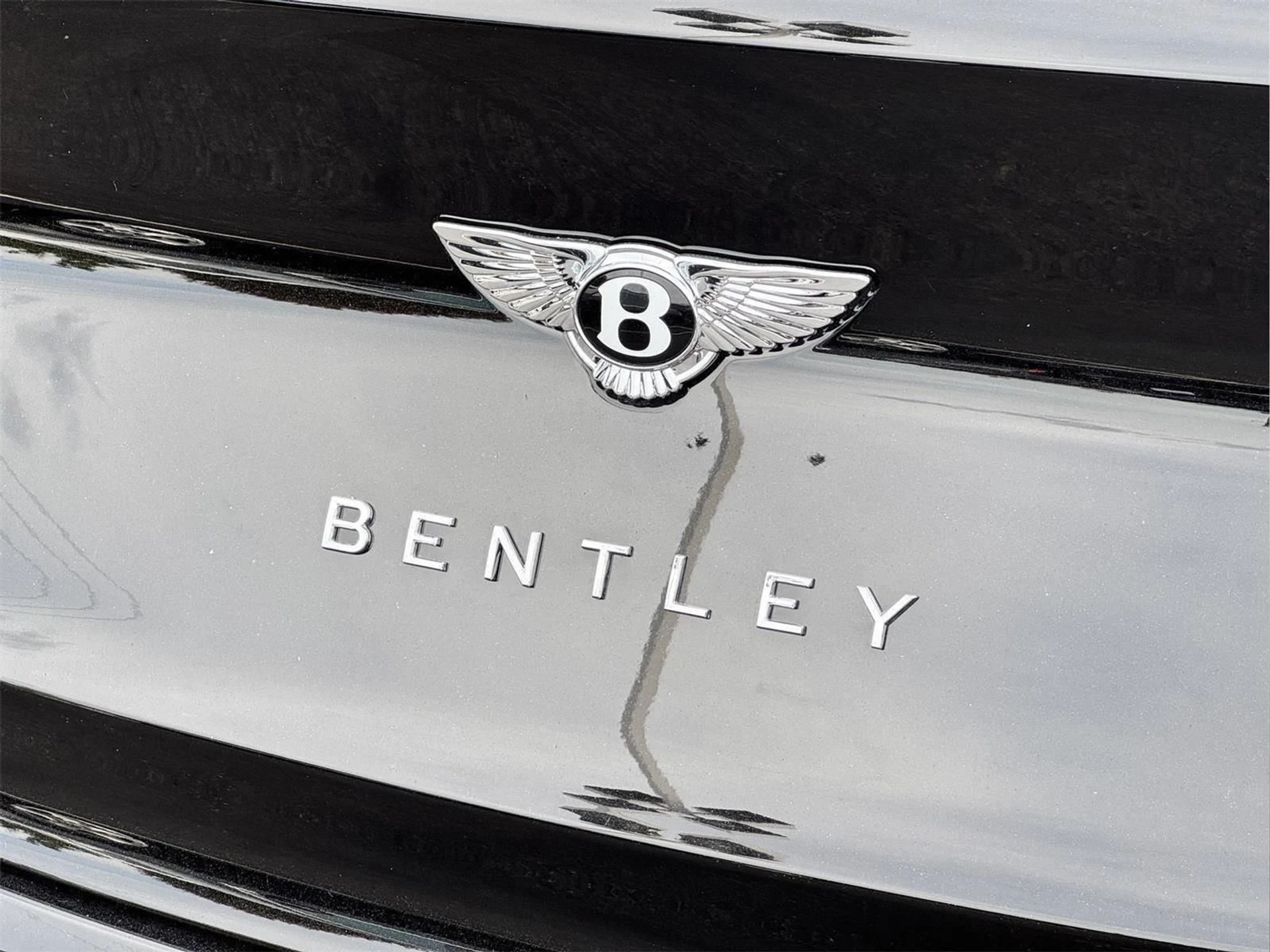 mph078_3271133492_8b3512b7b54c7de40c2dbc29e3f11da2_9b16846009