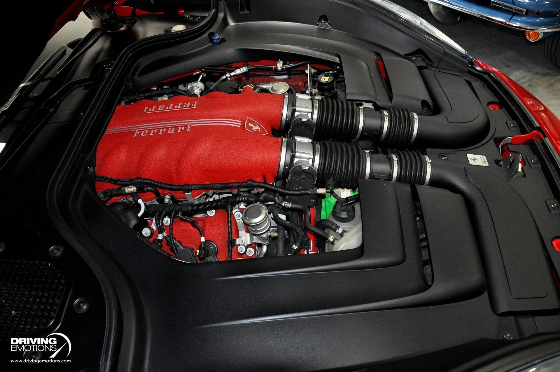 mph078_4099693522_505_p79_l_1585c6a10b