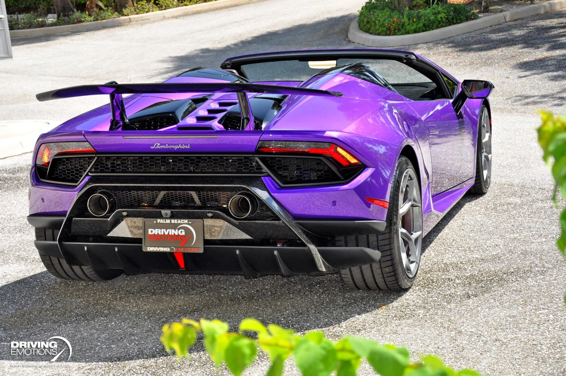 mph078_4117493243_863_p79_l_d80d376245