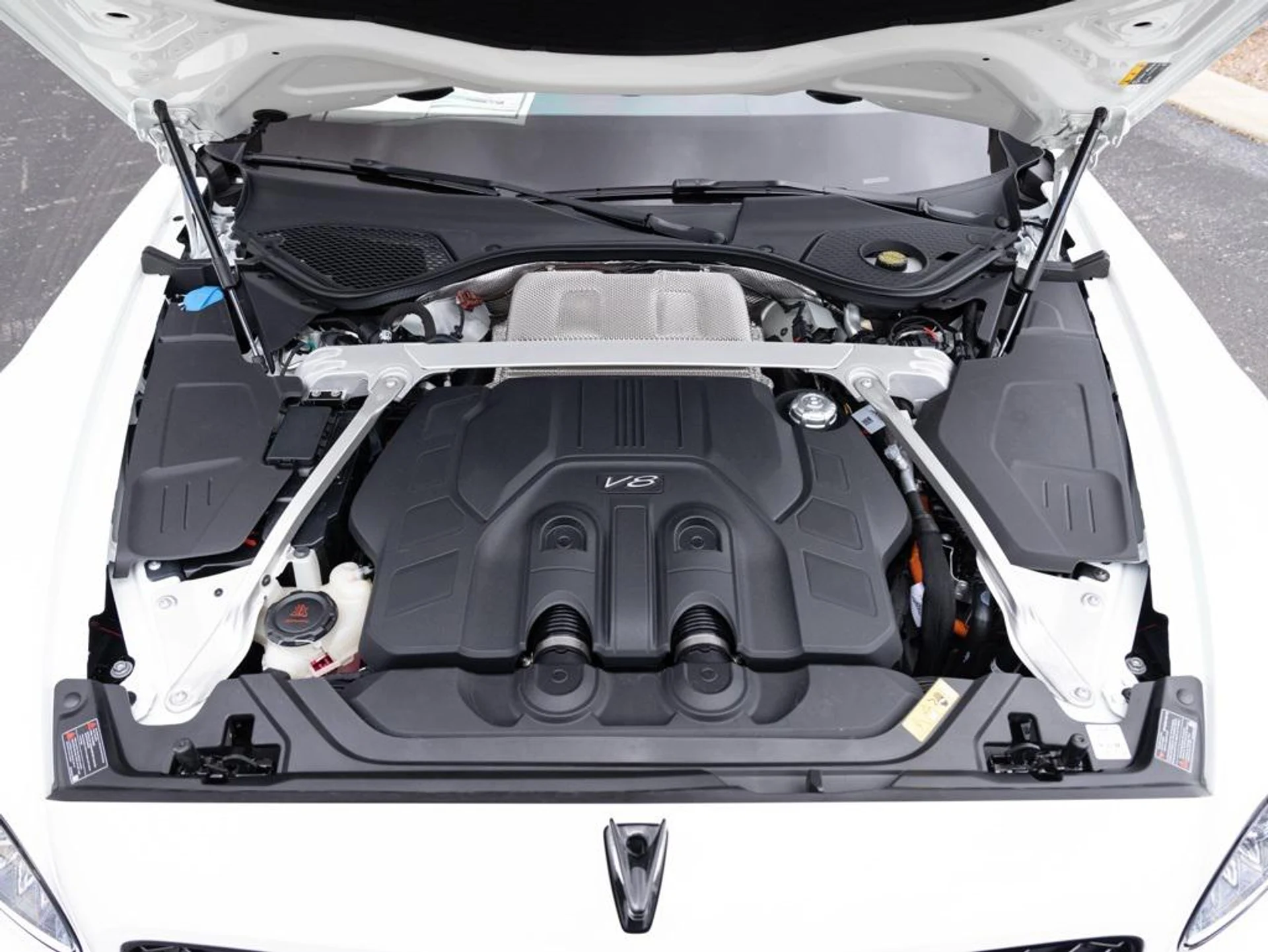 mph078_947676248_403809833_67c234396b5617b02de637e4_50c3b83a34