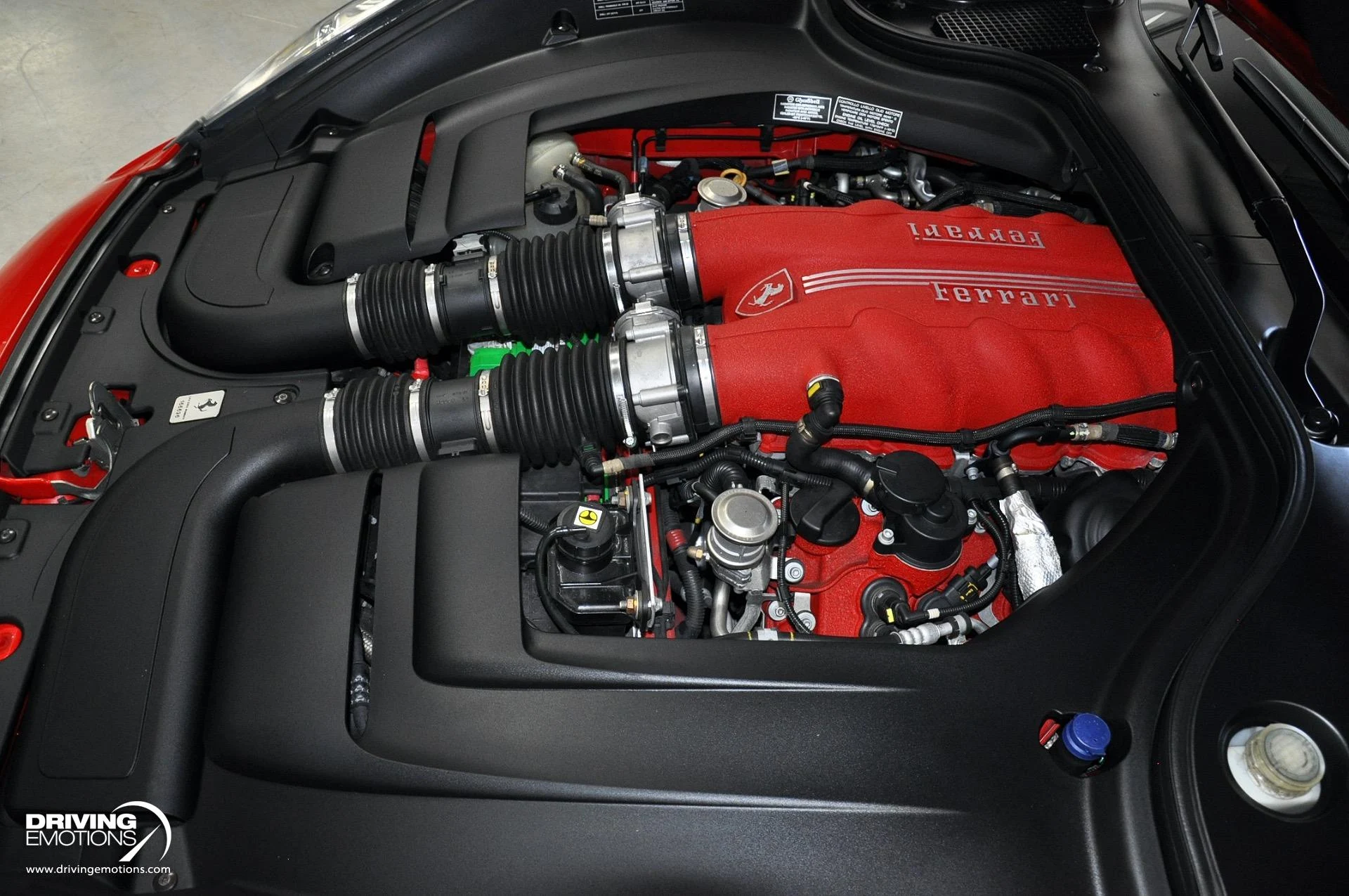 mph079_1949601552_505_p80_l_955a35446b