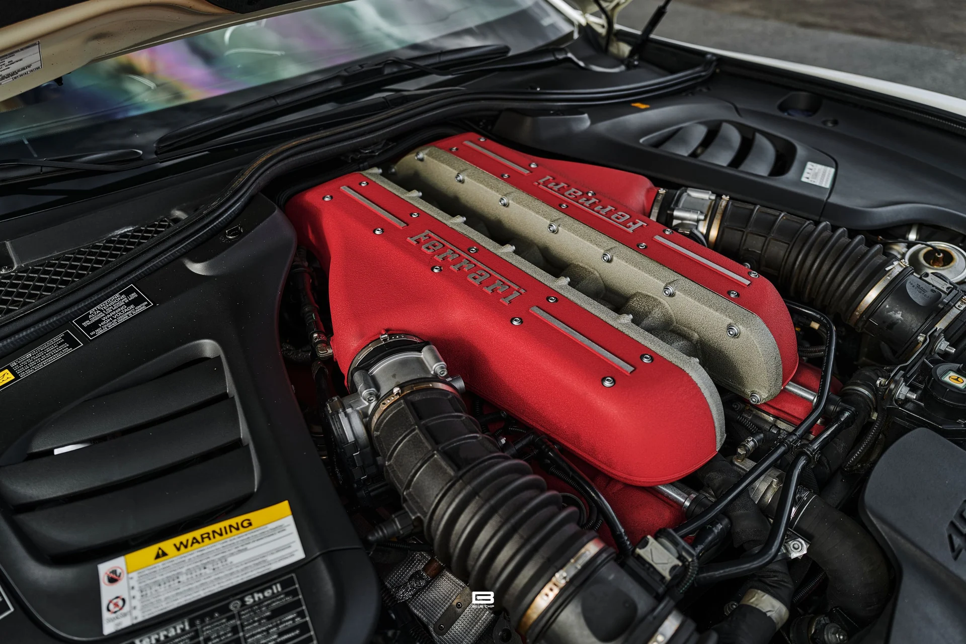 mph079_2111089512_69e2a4ac34ea0323391de835_L1220512_9fe4380792