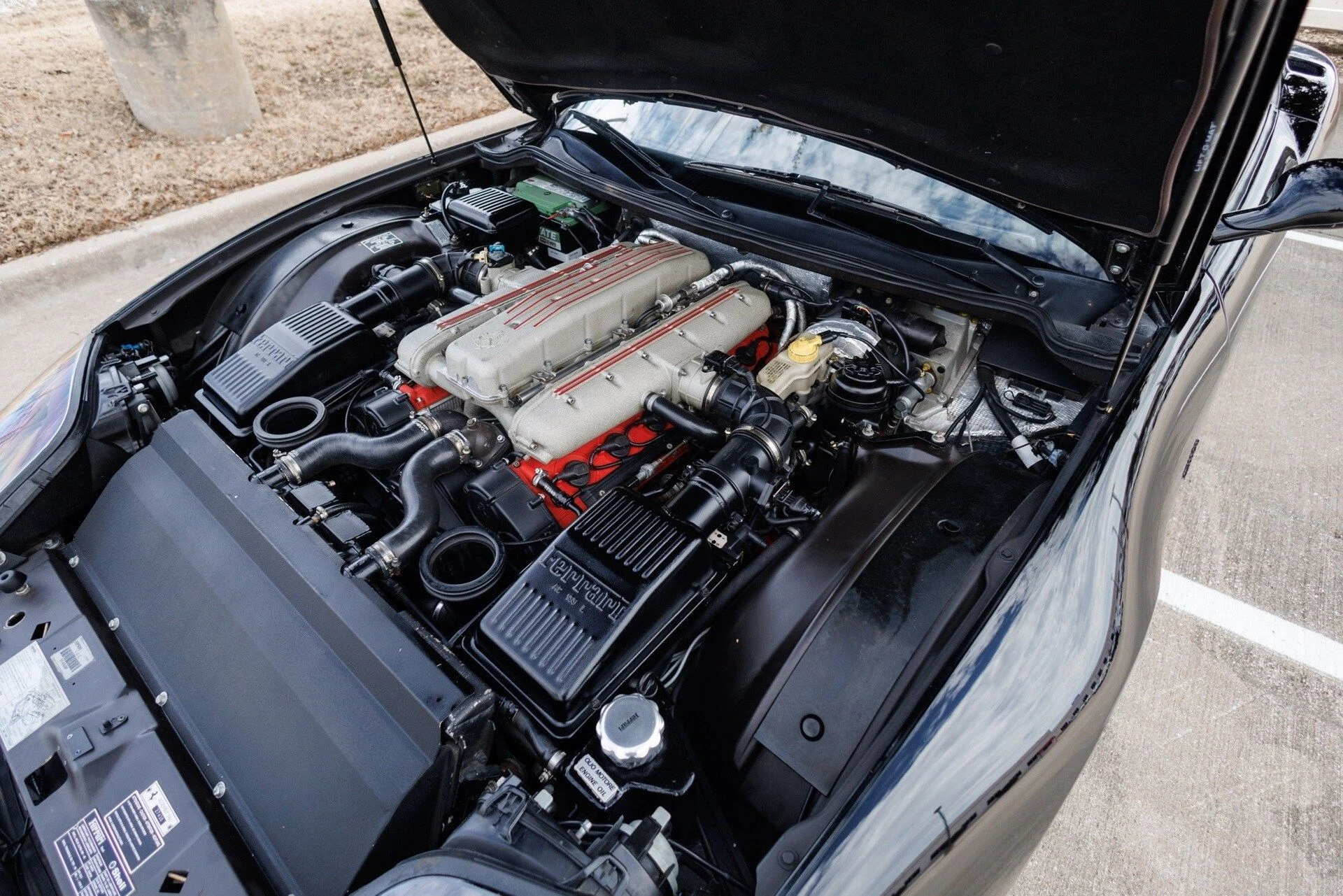 mph079_2928491779_172653726f6a000f5a4ab6d98c99e966x_e48faa1ff4