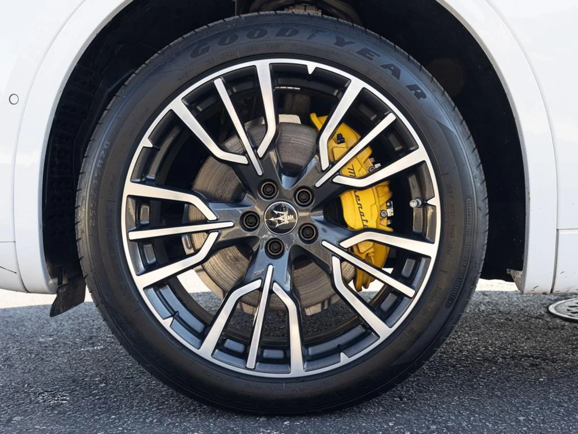 mph079_448383783_480723428_694423034f23a11bfcaf5422_d643b128c6