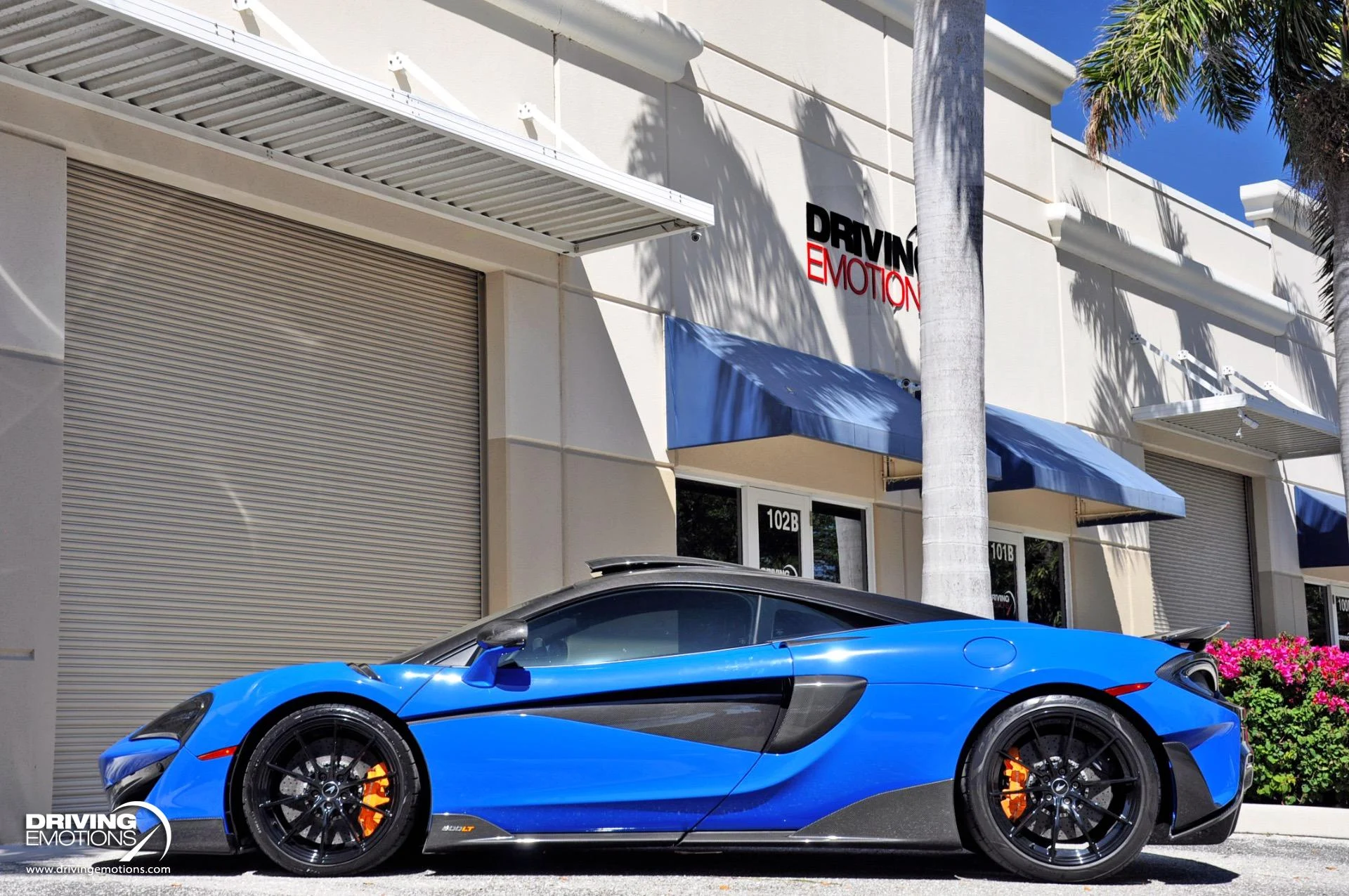 mph080_2580532811_836_p81_l_fb4e441ecc