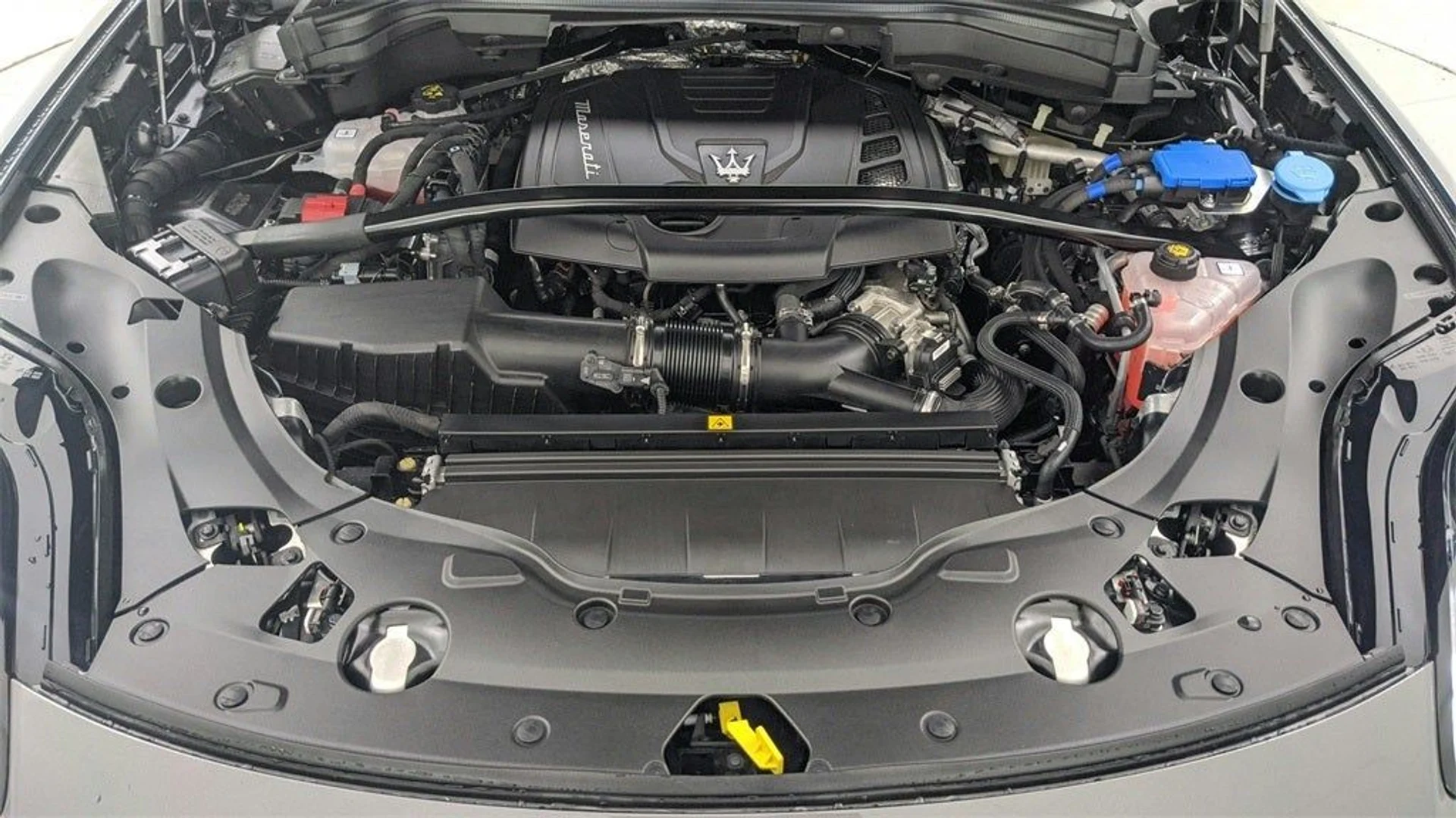 mph080_263757733_81_433ec43ce3