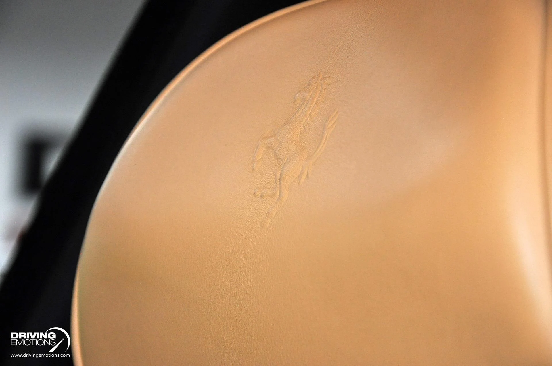 mph080_88095884_284_p81_l_cdd05e64d4