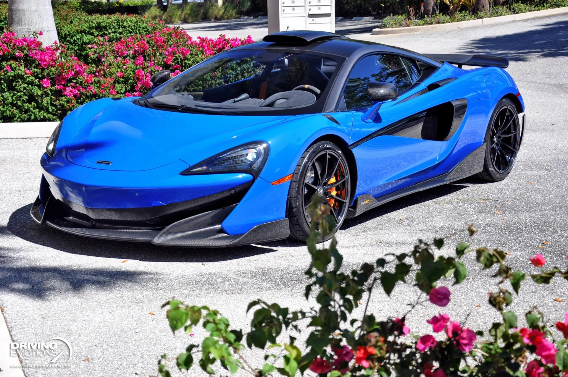 mph081_1419046588_836_p82_l_753d5bf8ad