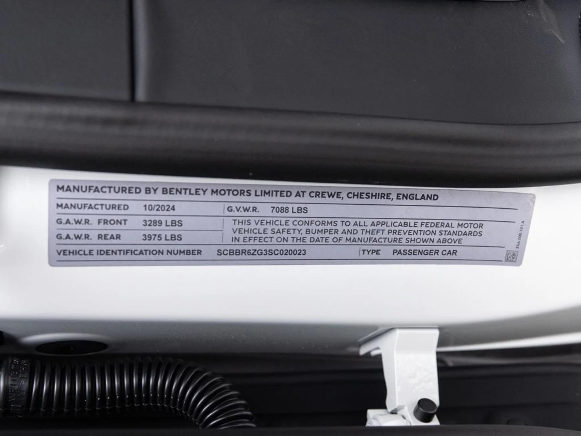 mph081_3619777943_403809833_67c2343a6b5617b02de637e7_6d03b93136