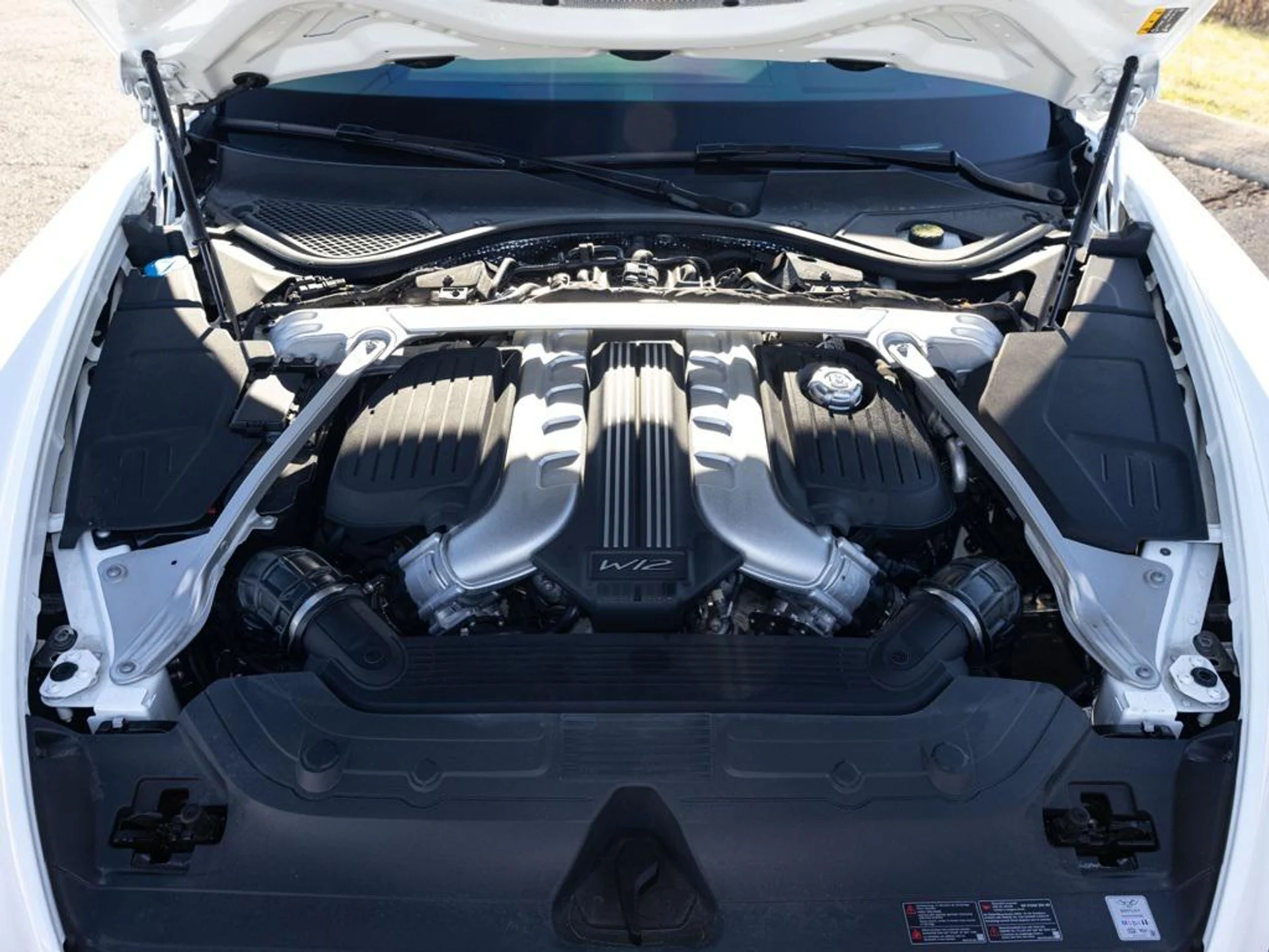 mph081_406964310_488810293_6969d34f4e0e5eb81a315cd4_24bf9e3cc4