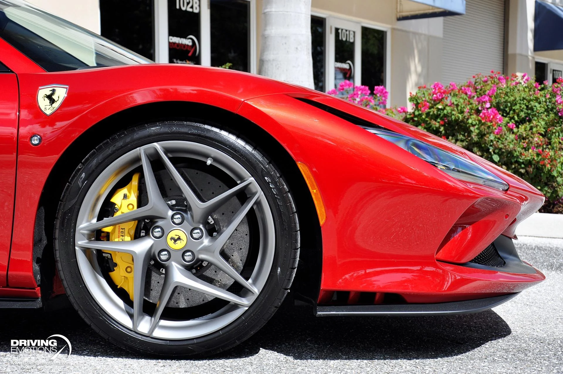 mph081_604114818_896_p82_l_496fb61ecf