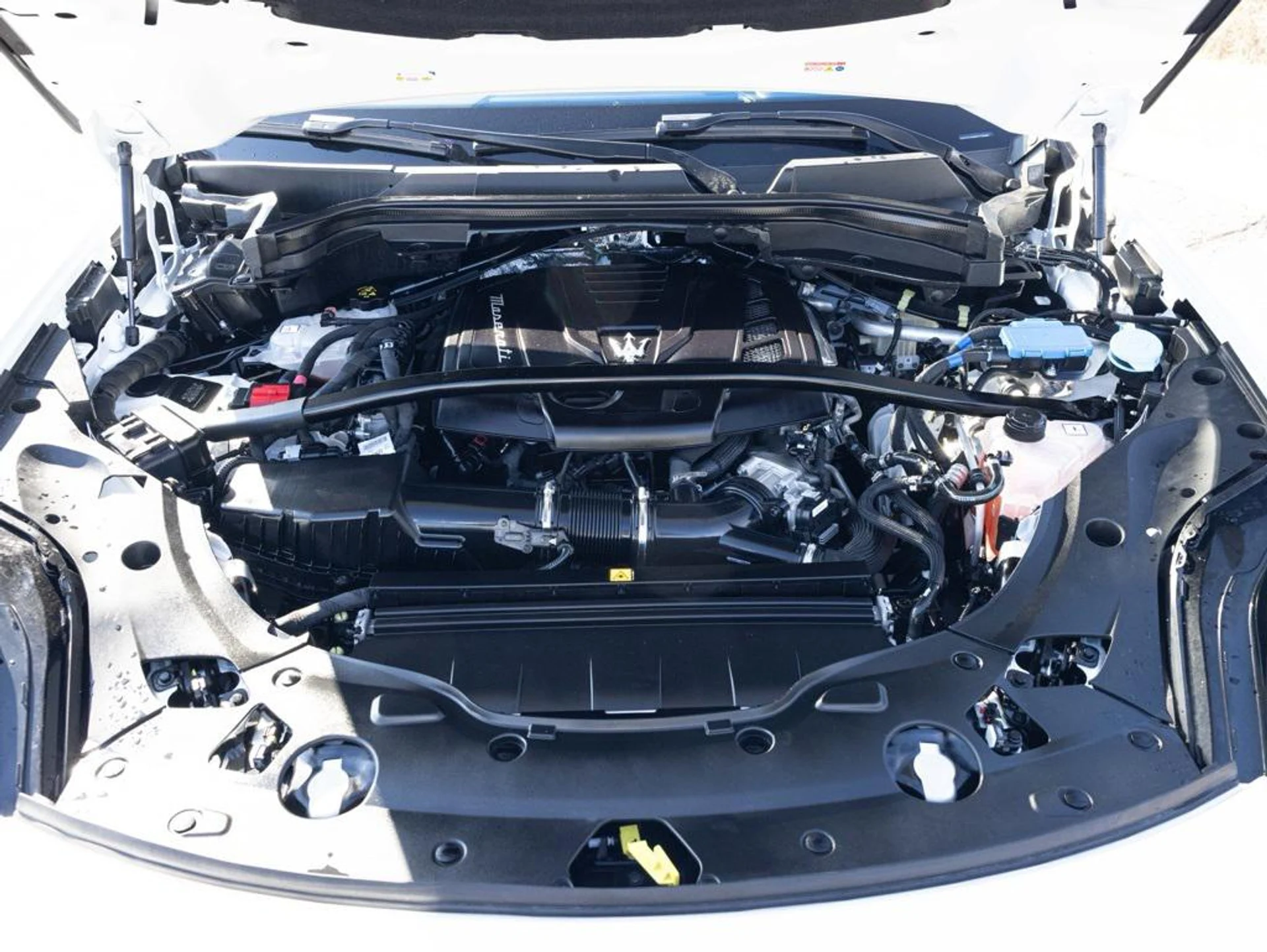 mph081_646116293_480723428_694423044f23a11bfcaf5424_ef7fef7393