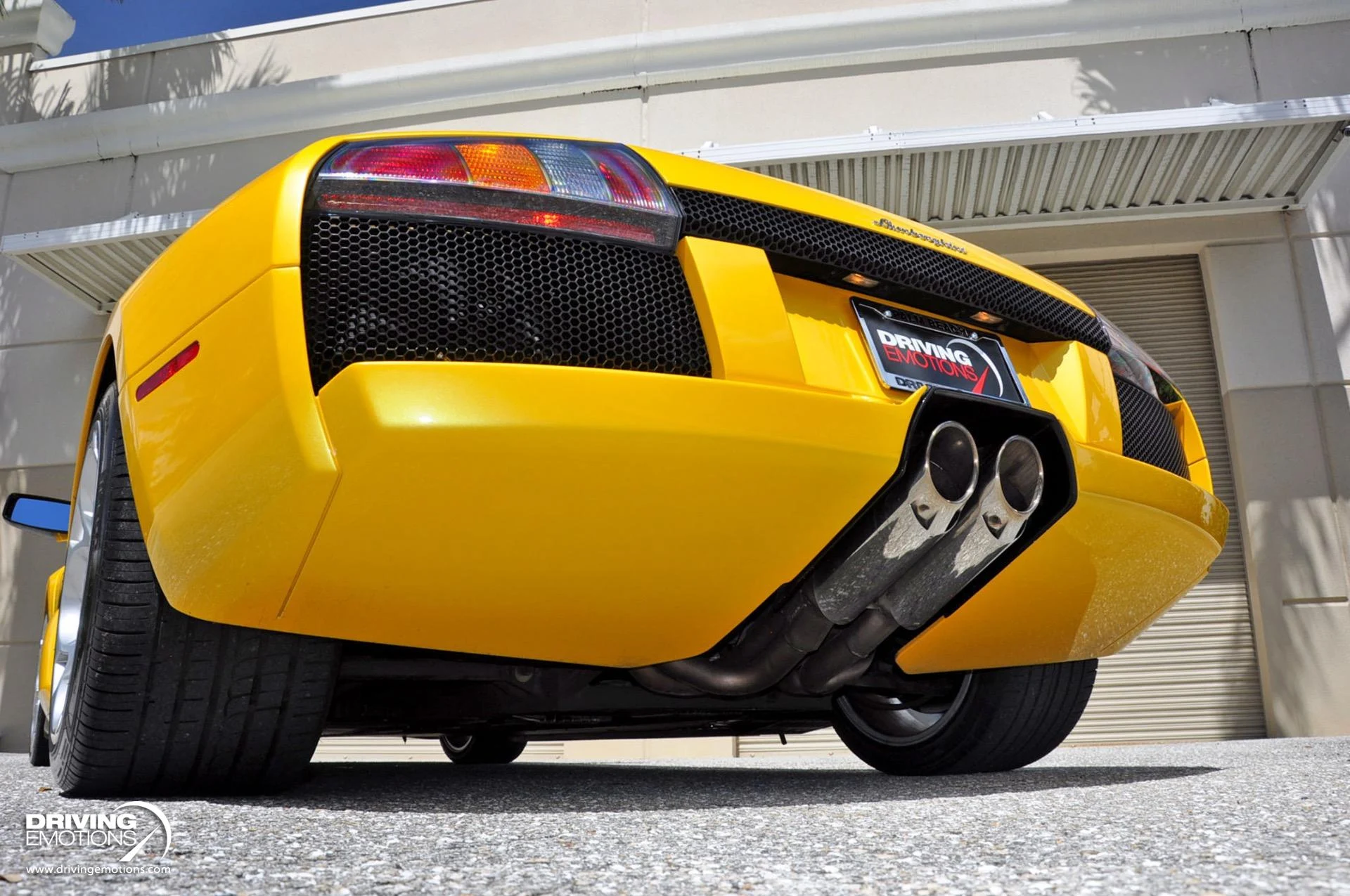 mph081_679213633_862_p82_l_6c95f352f0