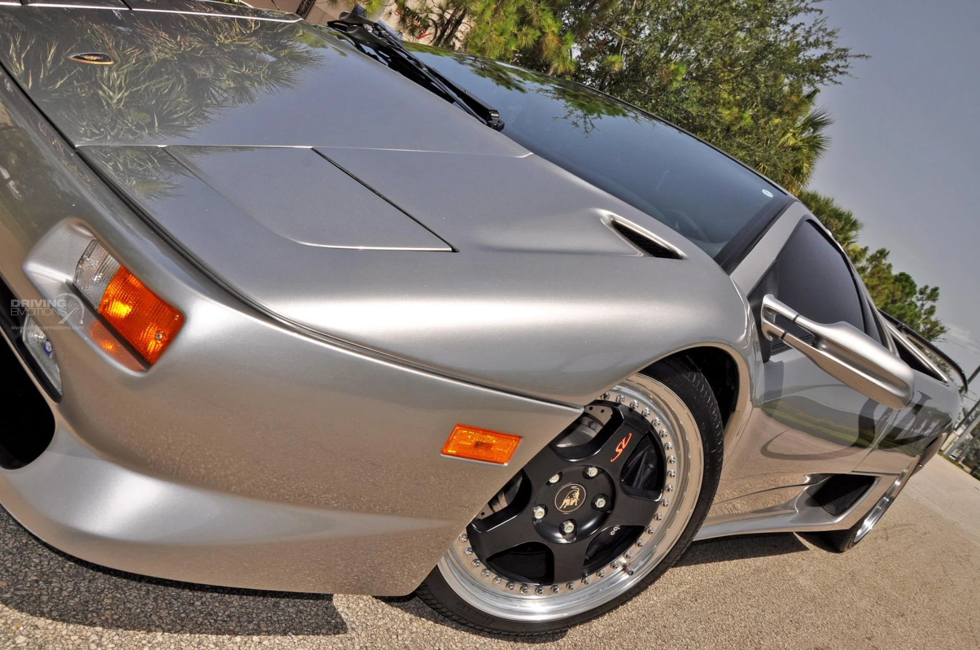 mph081_950483270_192_p82_l_ae4fd15b80