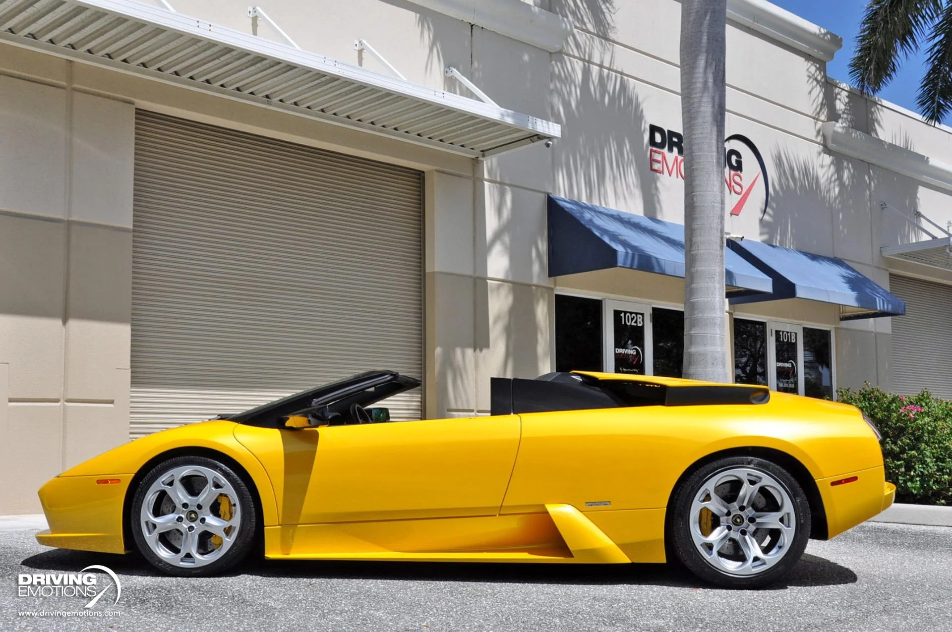 mph082_3143243635_862_p83_l_3b18433f96