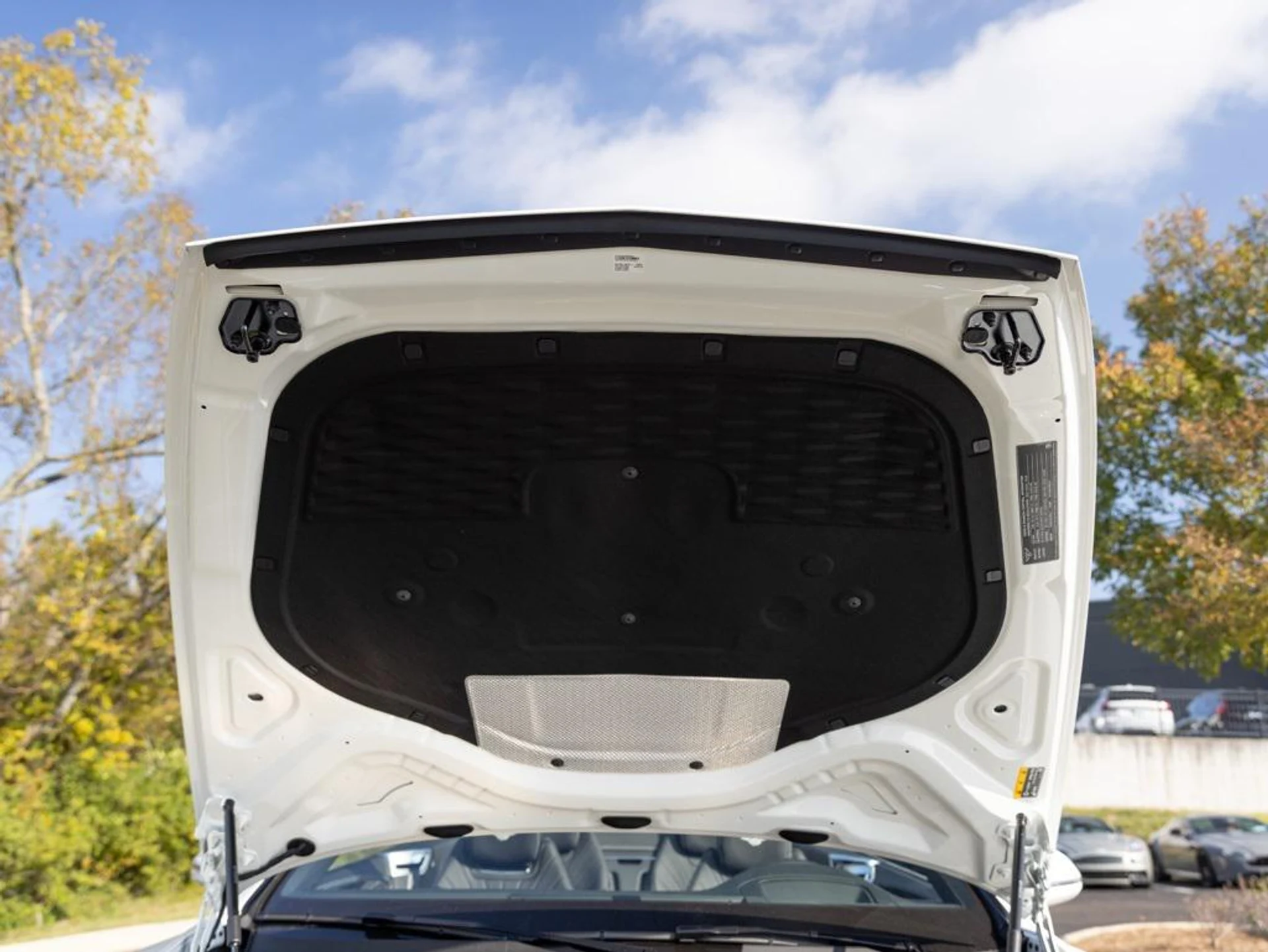 mph082_338393636_478617943_692fc9eb06717eb16b65ecfd_df3402d6b6