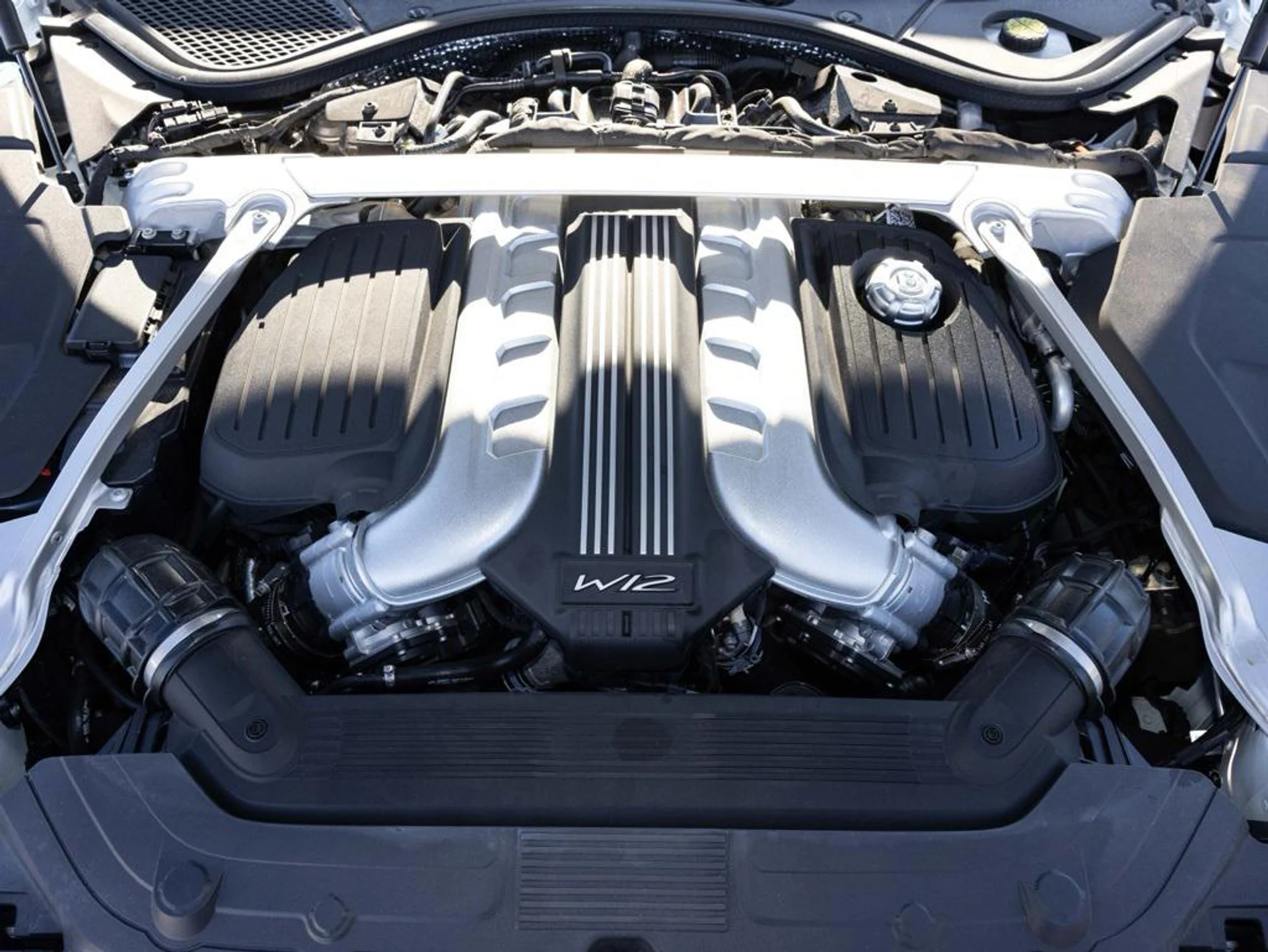 mph082_3686697617_488810293_6969d34f4e0e5eb81a315cd5_51e39ef22d