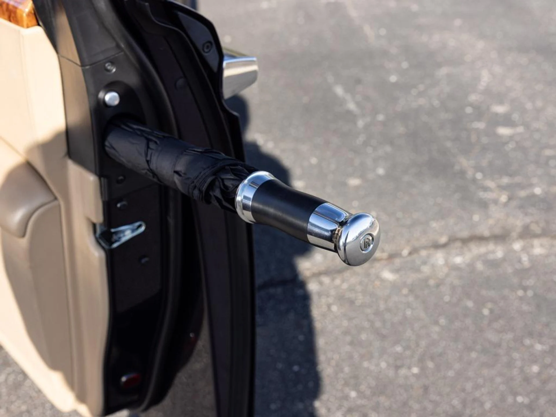 mph083_1935945492_481787351_6944232d4f23a11bfcaf557c_cea17d145d