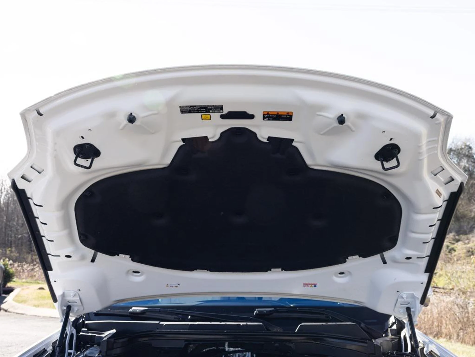 mph083_2231257116_480723428_694423044f23a11bfcaf5426_11ecfd4397