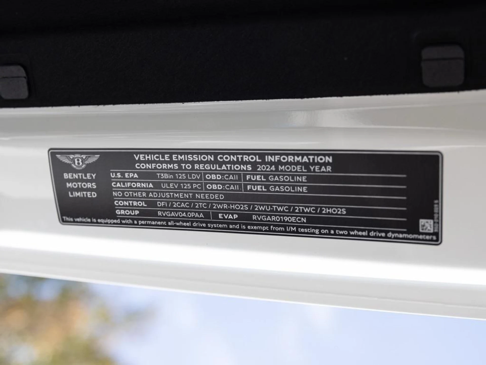 mph083_2557898572_478617943_692fc9eb06717eb16b65ecfe_88412b7705