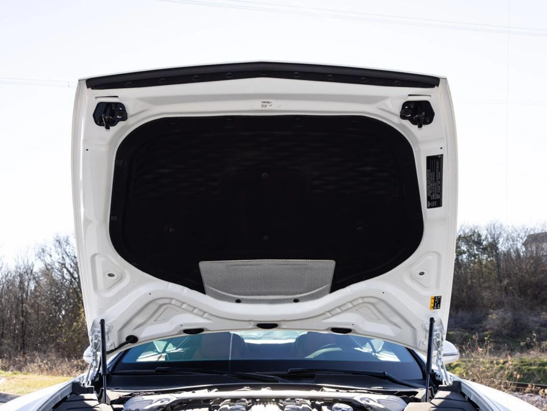 mph084_1054633512_488810293_6969d3504e0e5eb81a315cd7_689546f45e