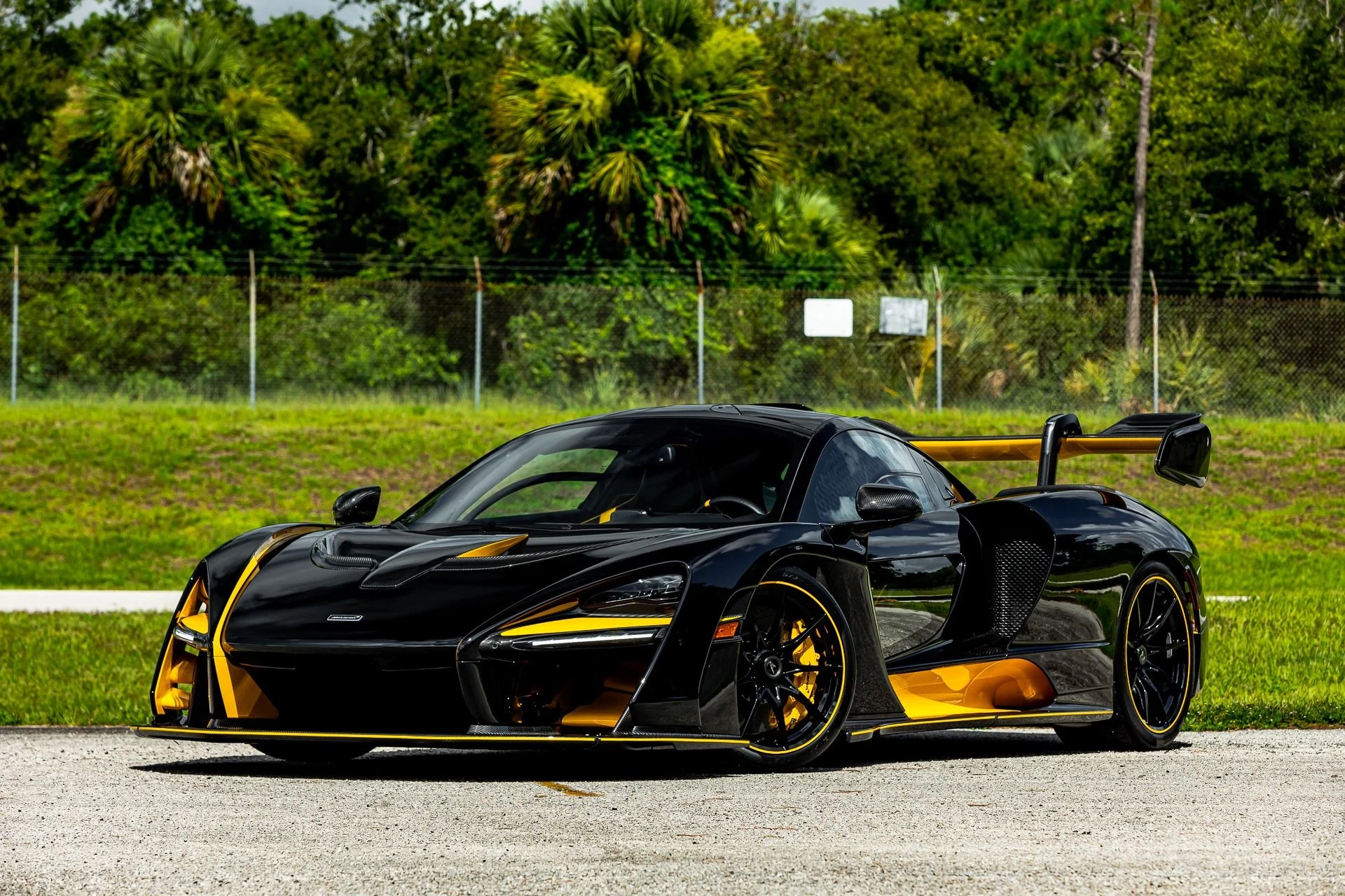 mph084_1770531026_131_p85_l_65aa361b6e