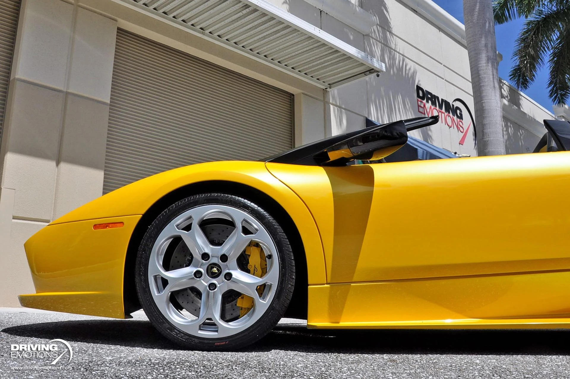 mph084_1830847950_862_p85_l_0163243372