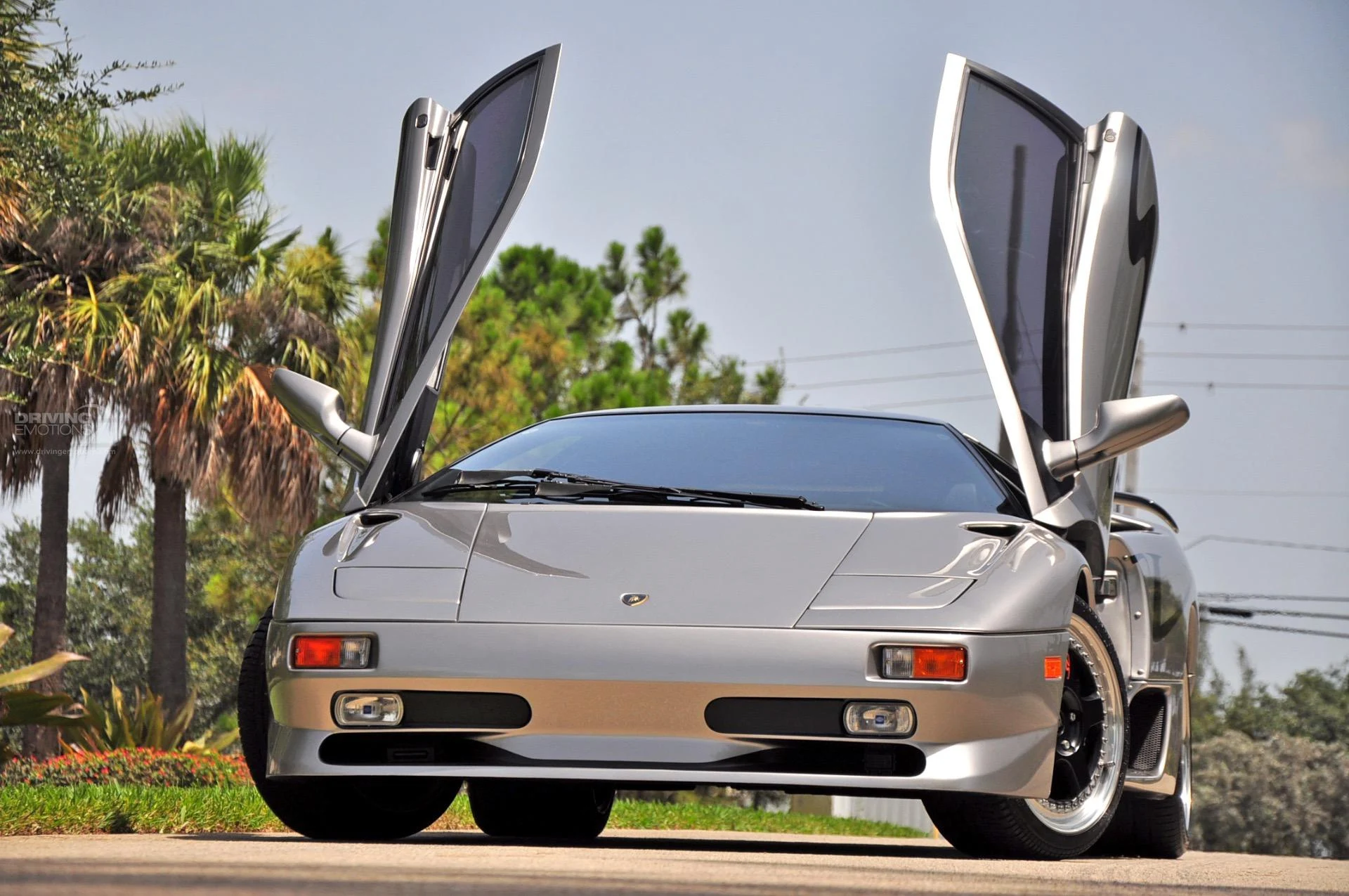 mph084_1922637593_192_p85_l_680b234dfb