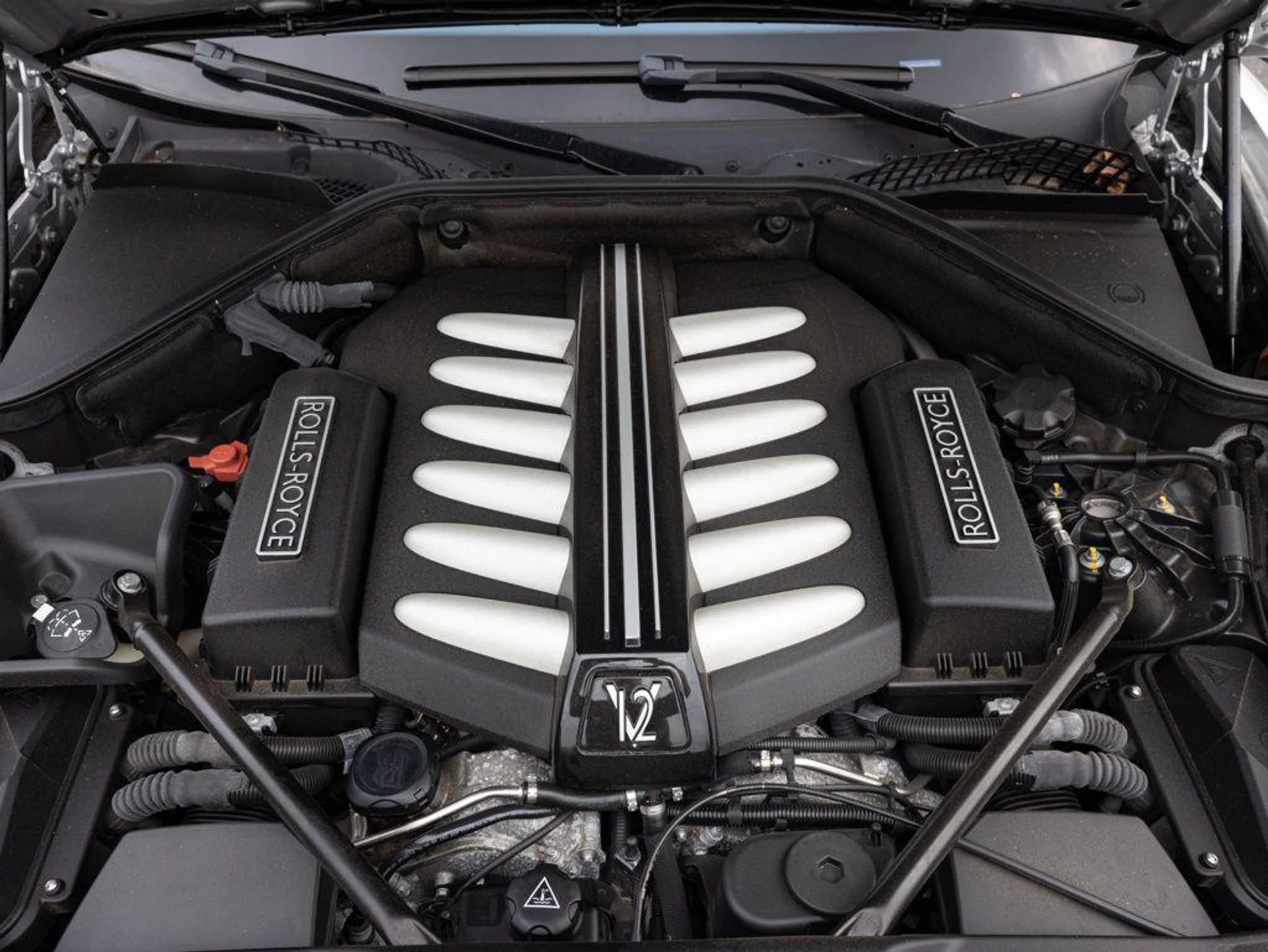 mph084_1937931079_507279829_69c7d6adbe5600699b4722a8_37798af59d