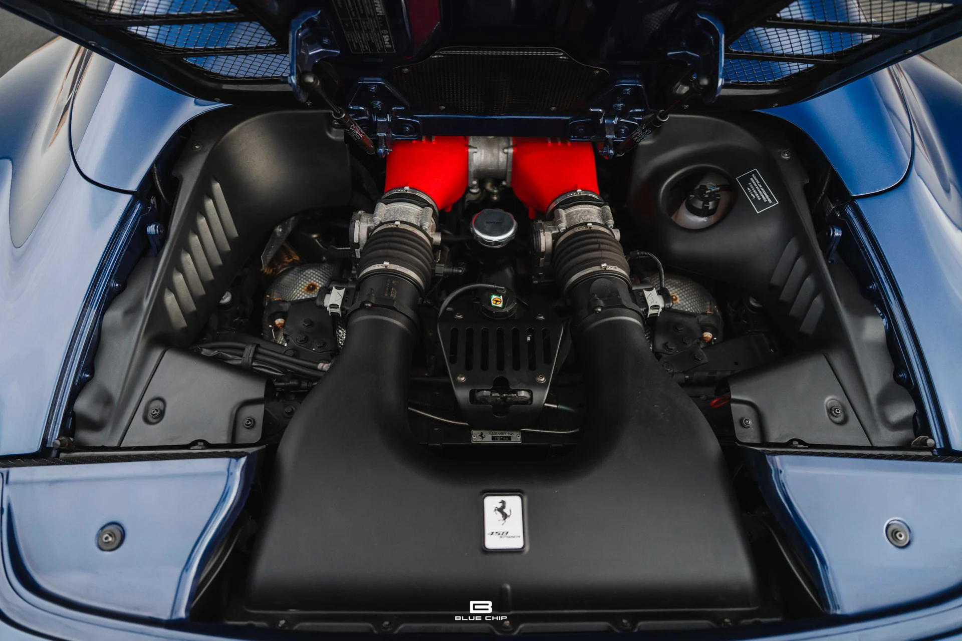 mph084_2021838133_6913b55066601166d659ca79_DSC_09593_90443ad1ac