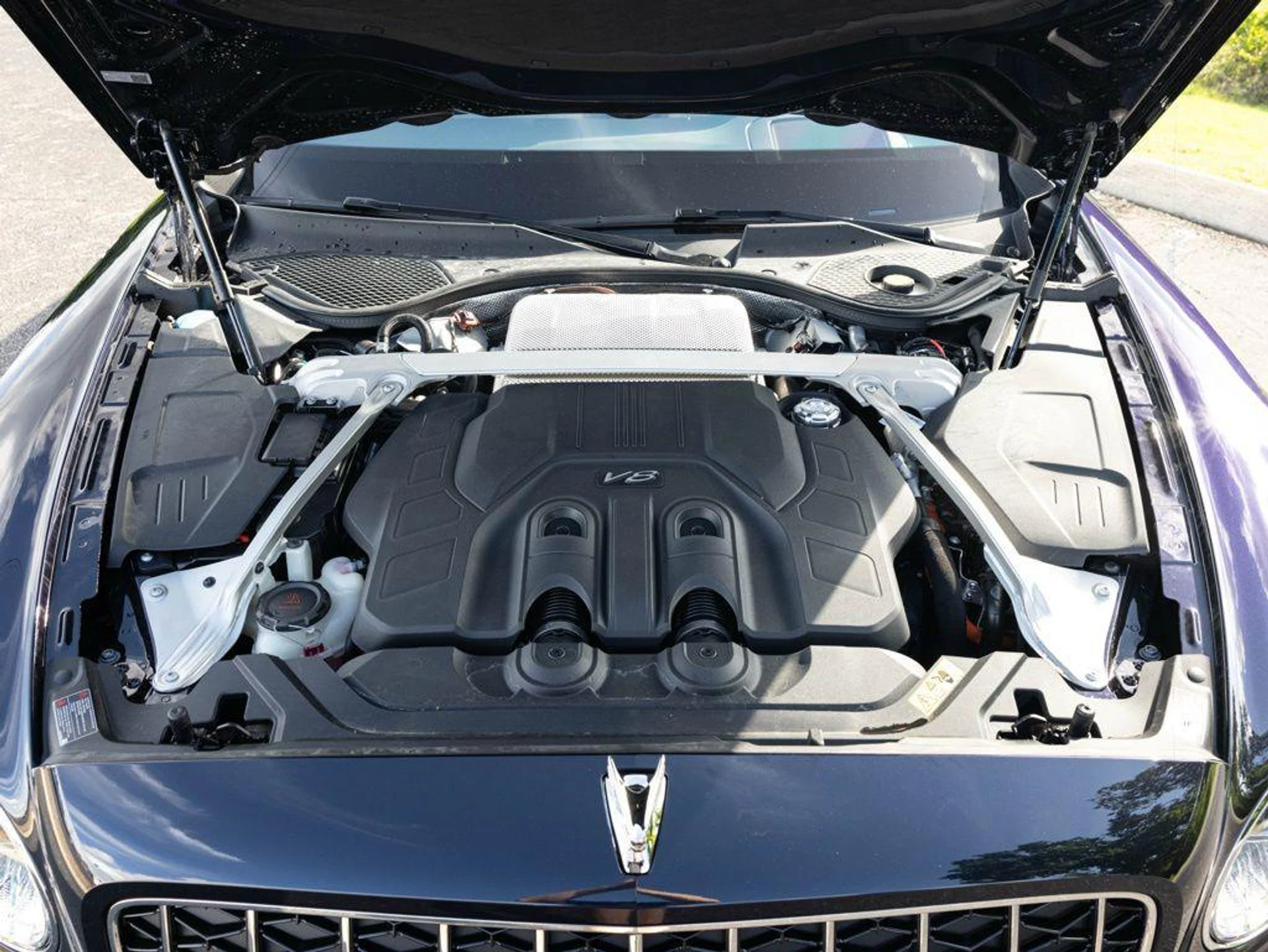 mph084_2614214668_515382885_69f36050087c98a25cbbb498_549db896c2