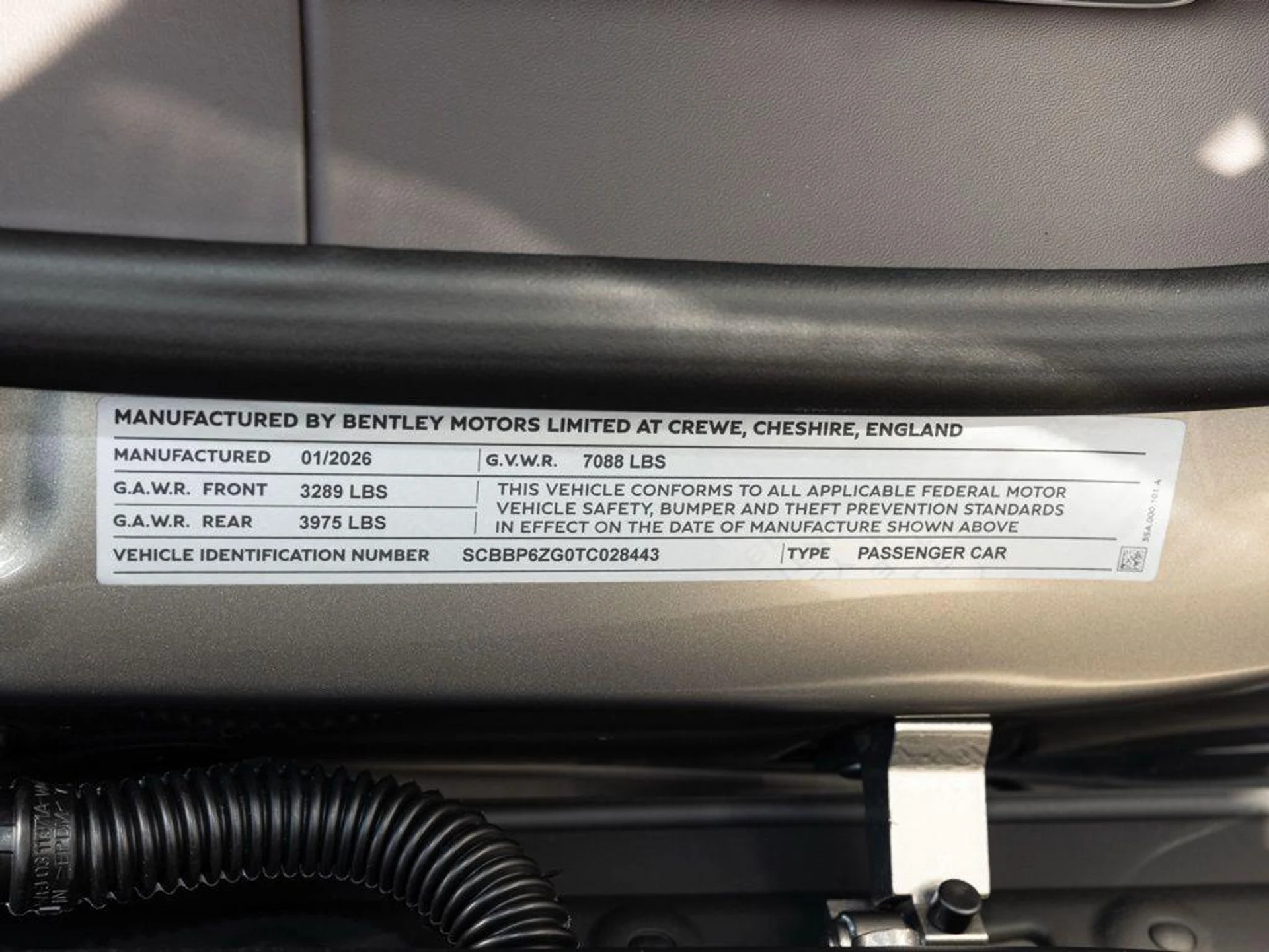 mph084_3490173985_514426019_69ea40f2a250cd82d00a2474_b6bba919f8