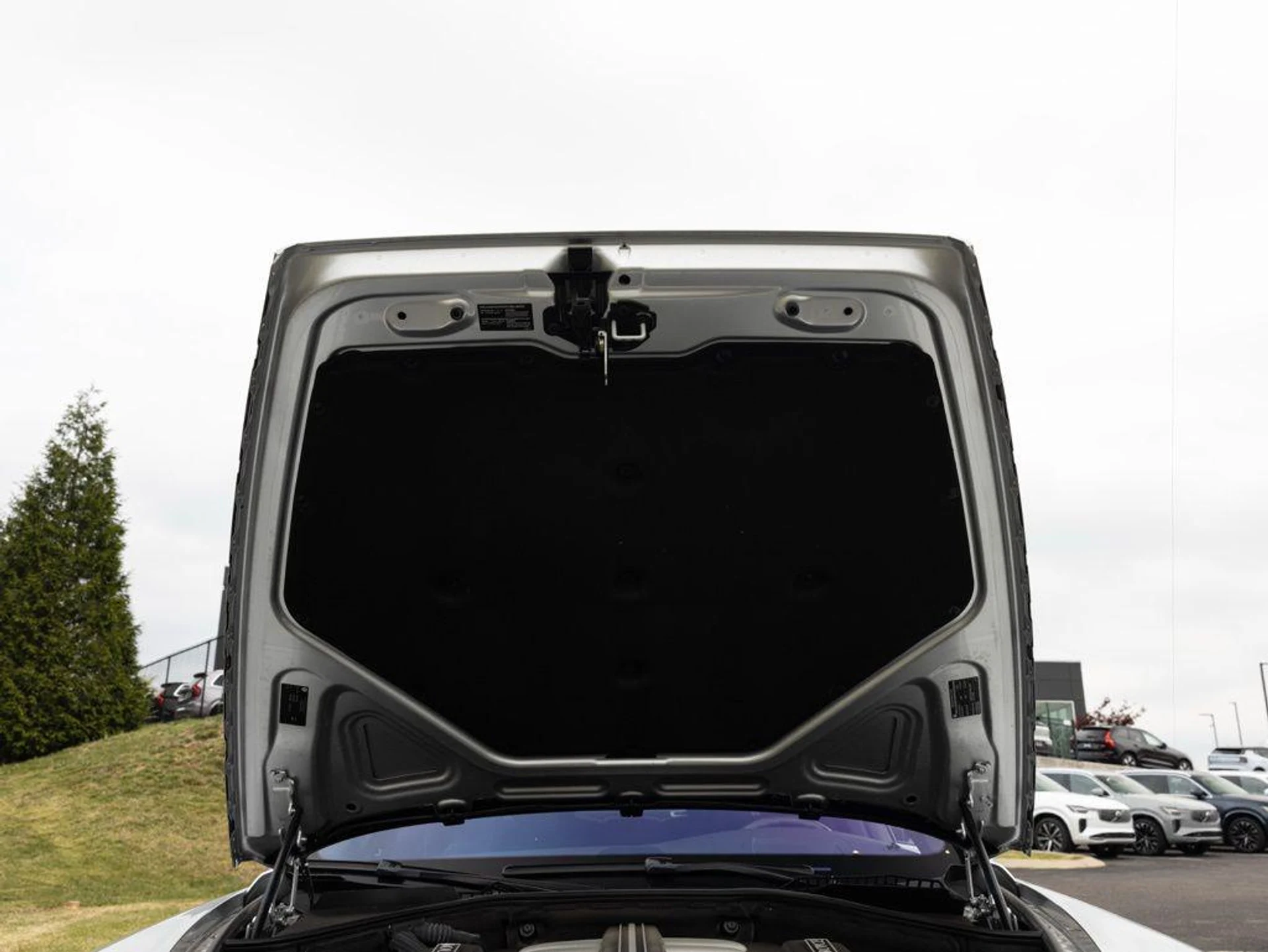 mph085_1110936316_507279829_69c7d6adbe5600699b4722a9_5865d69ab4