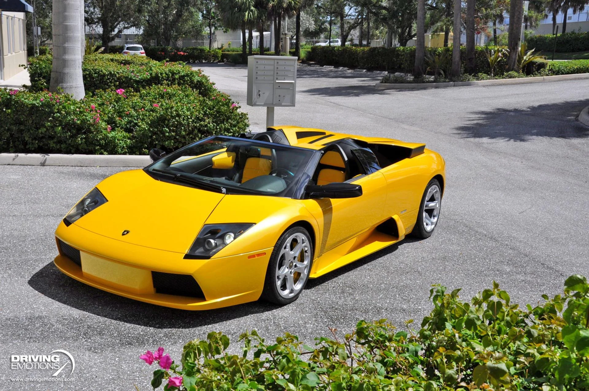 mph085_2096924545_862_p86_l_4e99f8c10f