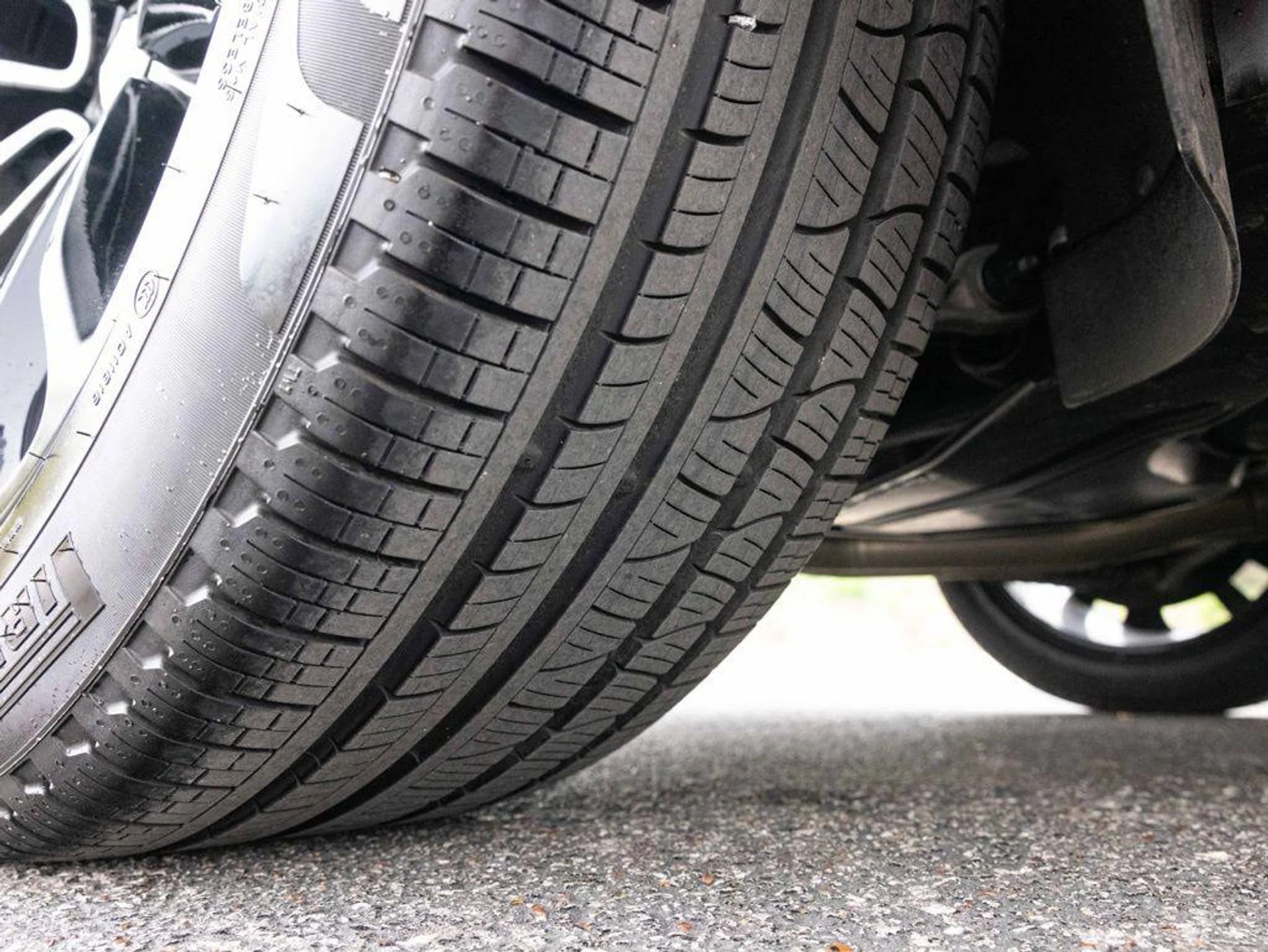 mph085_2189588123_505919897_69c7d83f966ffa5d8dbef1f8_336bf4469e