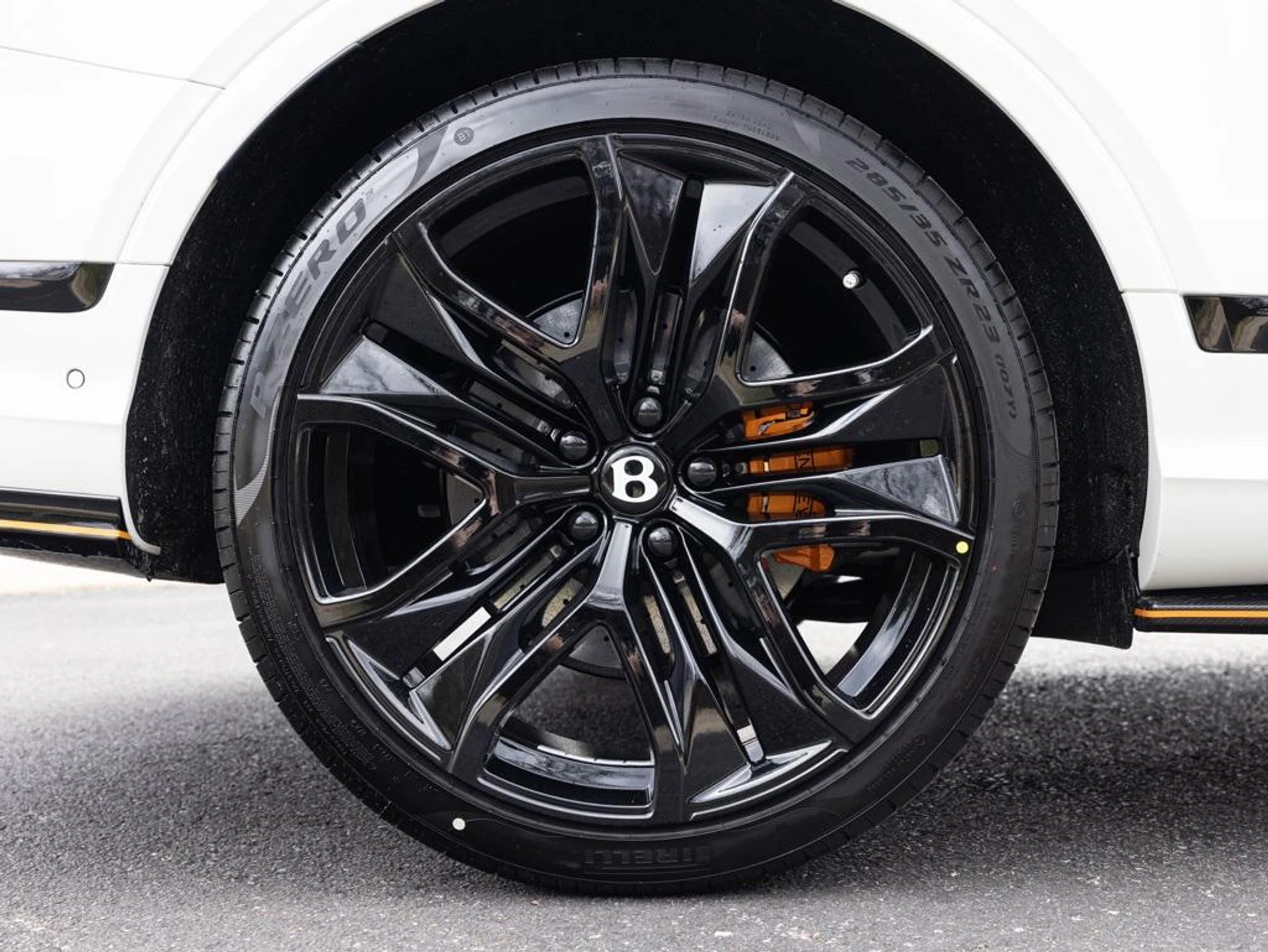 mph085_2212408230_480417655_69442345815a036f0aabfc58_91578d1a3d