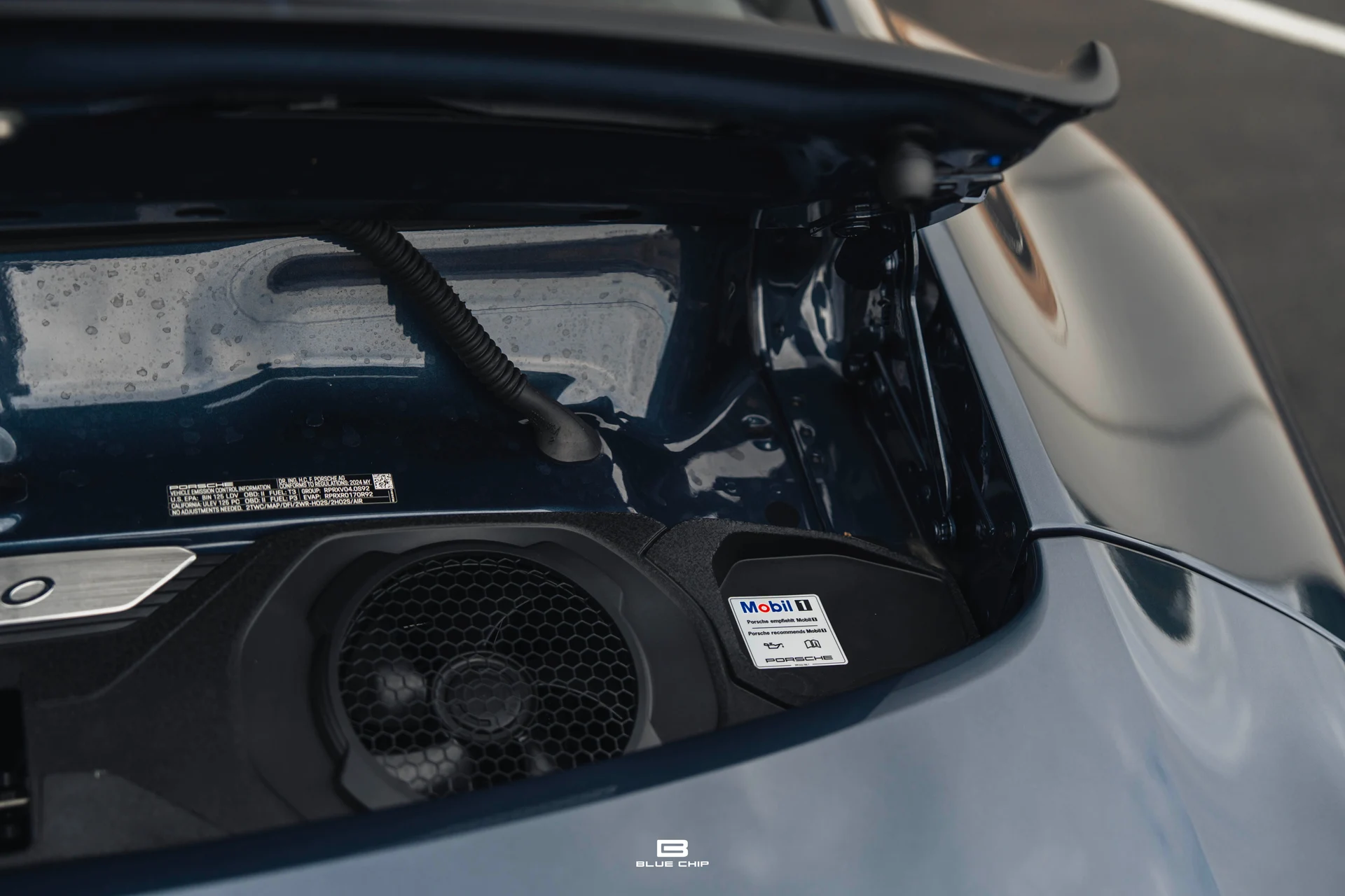 mph086_3133209118_68ade3e02321056e64dd96d2_DSC_05631_1ccbbabf5f