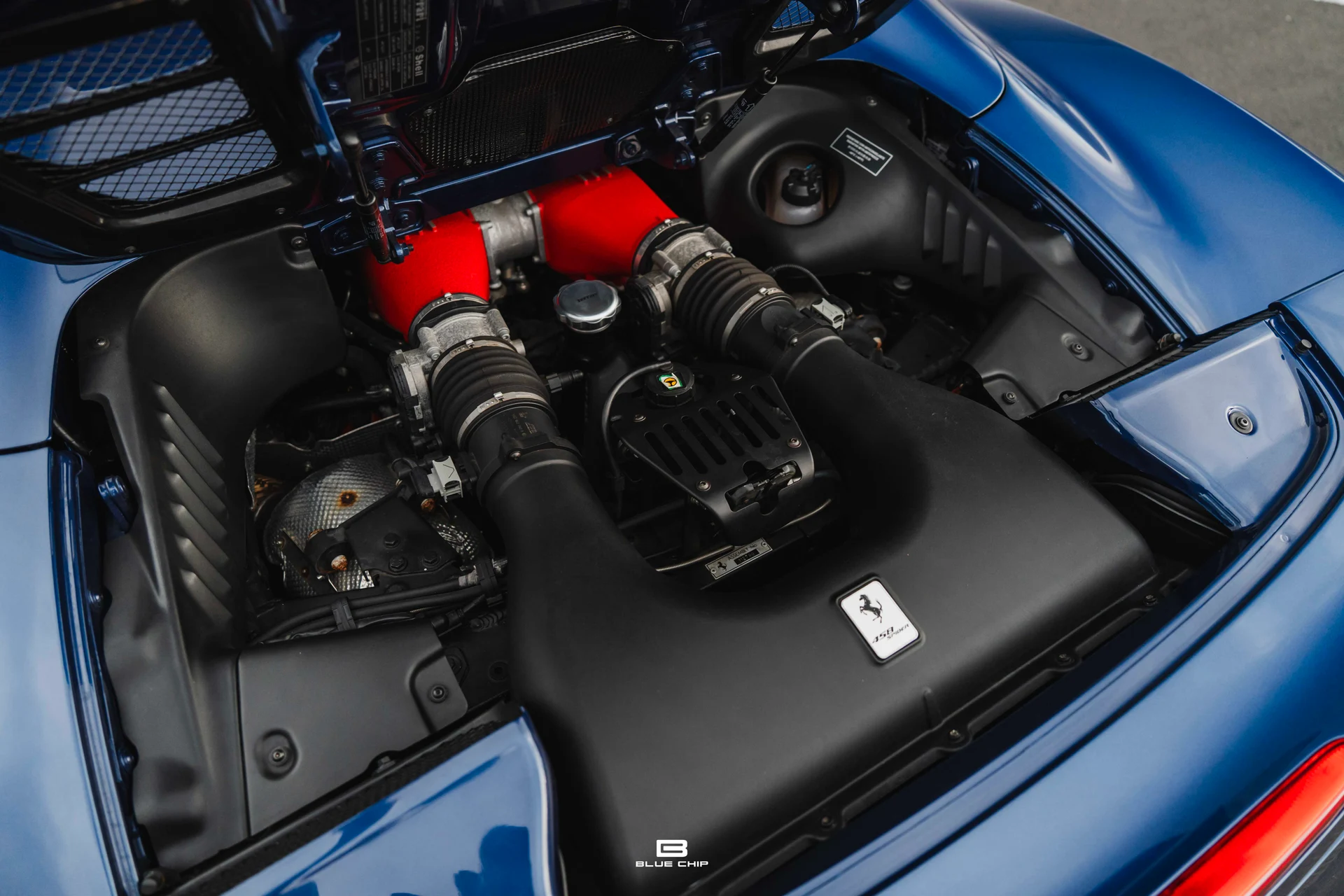 mph086_55716231_6913b5558dba7c664ab50f25_DSC_09599_8df35e5d81