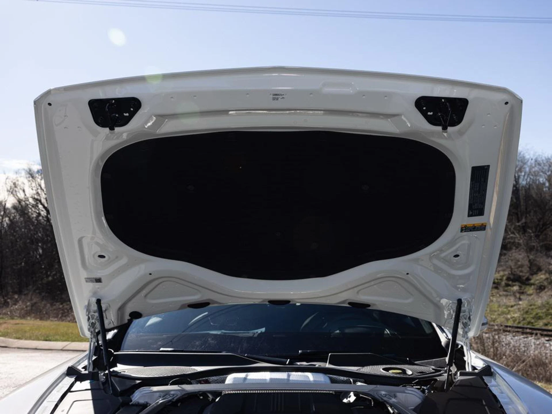 mph086_652479623_489450284_696fa26c247726b502ba274a_37d6cbe3d9