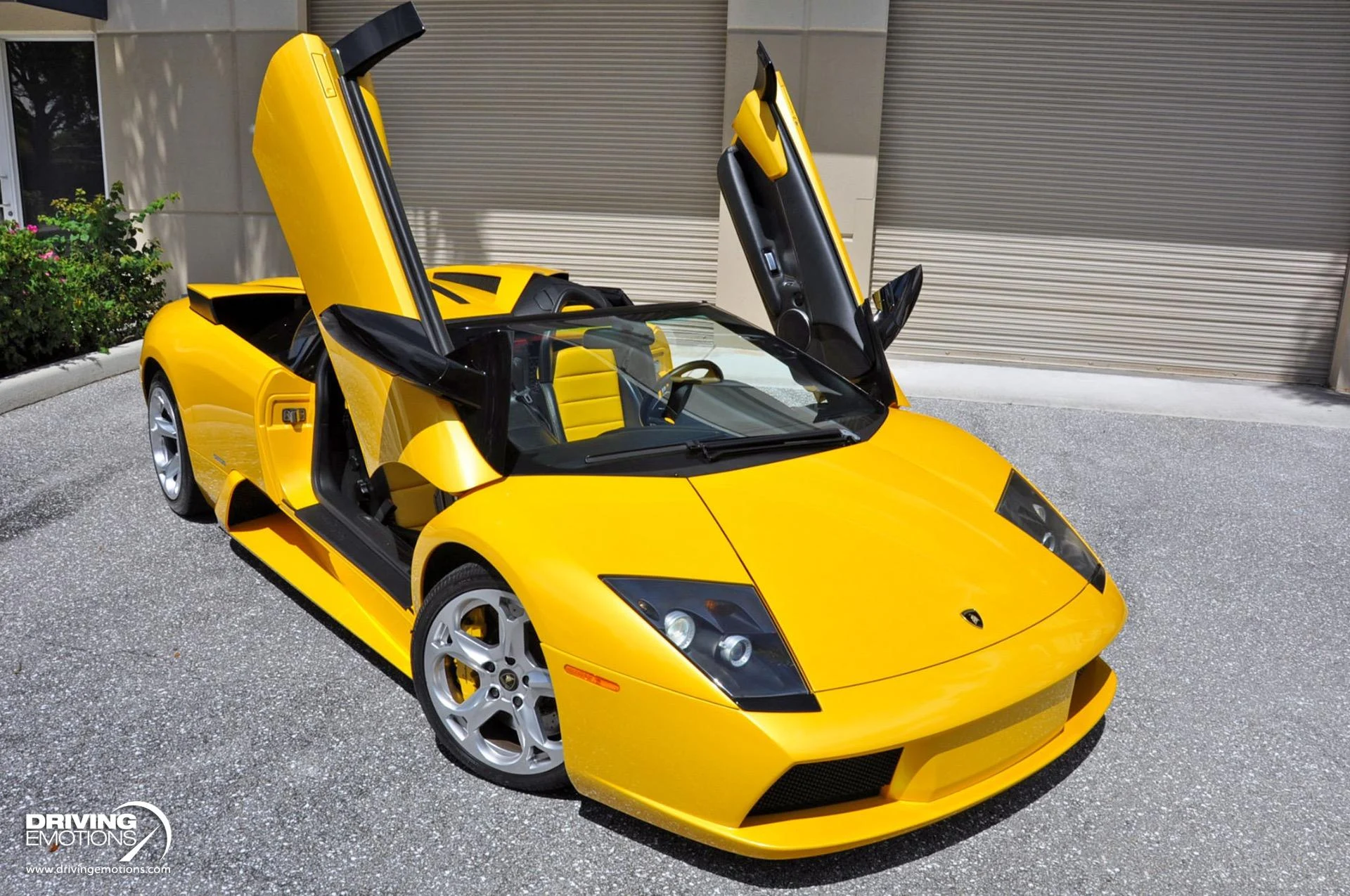 mph087_2281397105_862_p88_l_5aa4f51a47