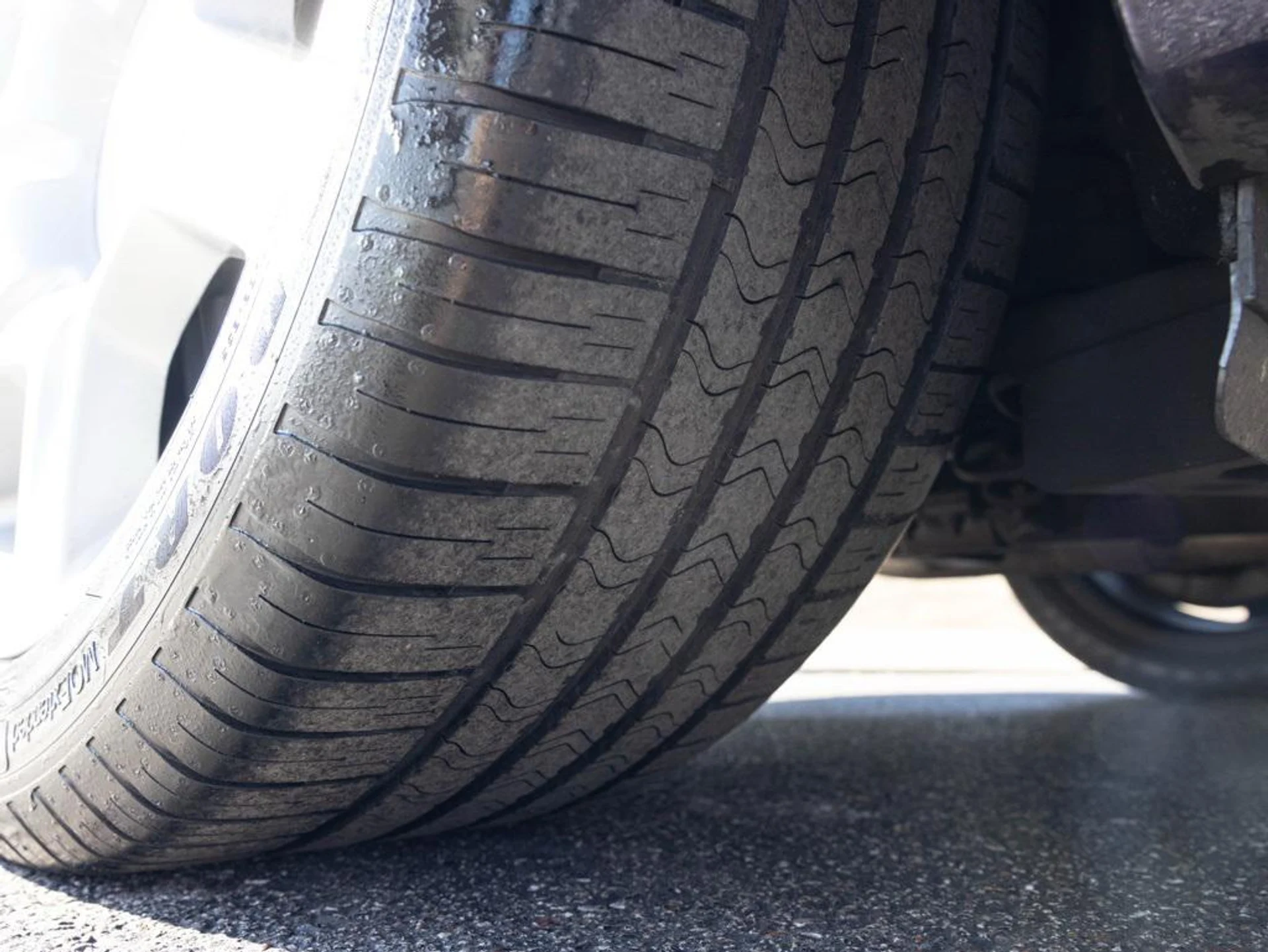 mph087_3923819042_481787351_6944232e4f23a11bfcaf5580_dd9e59bf45