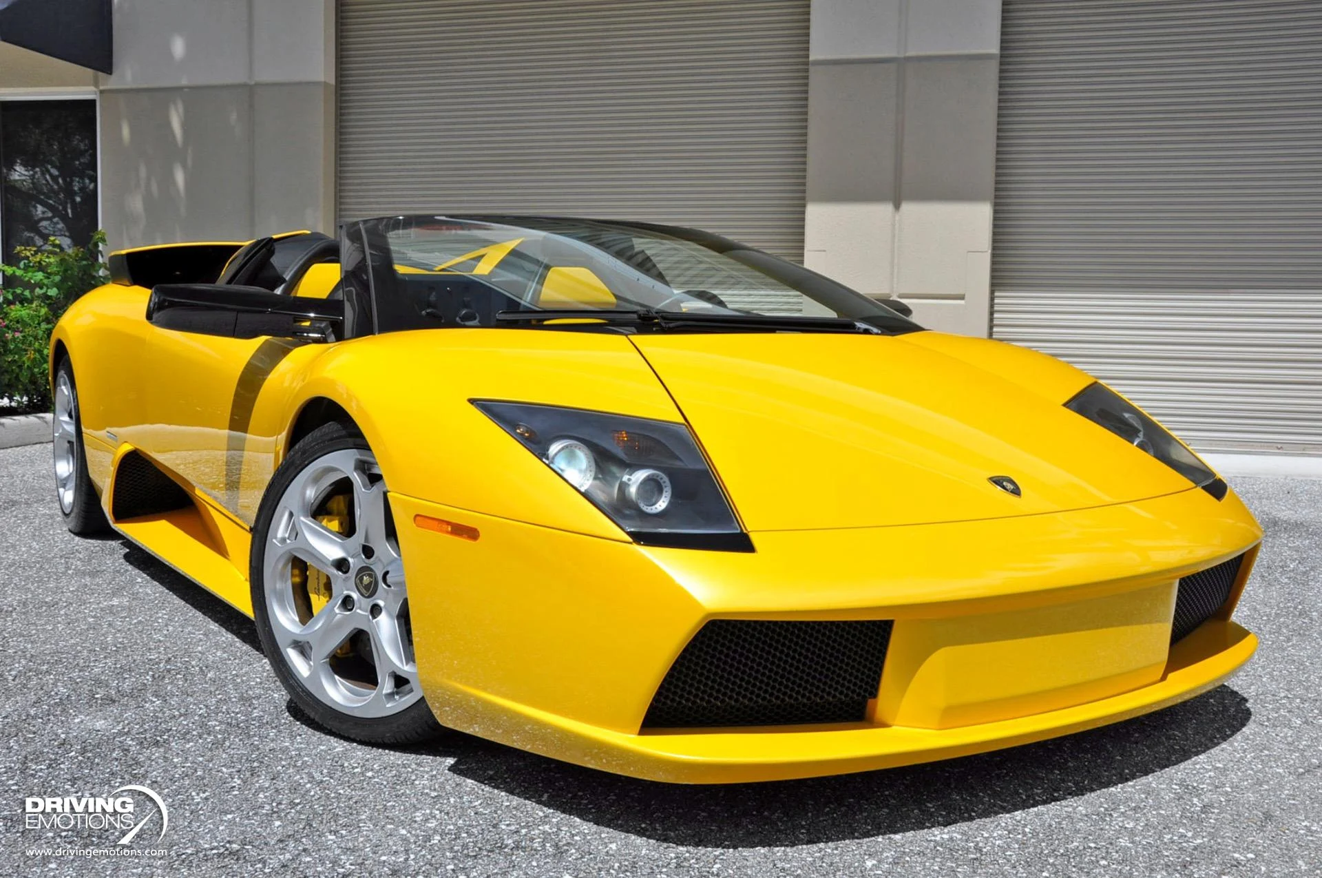 mph088_2547370573_862_p89_l_977389807b