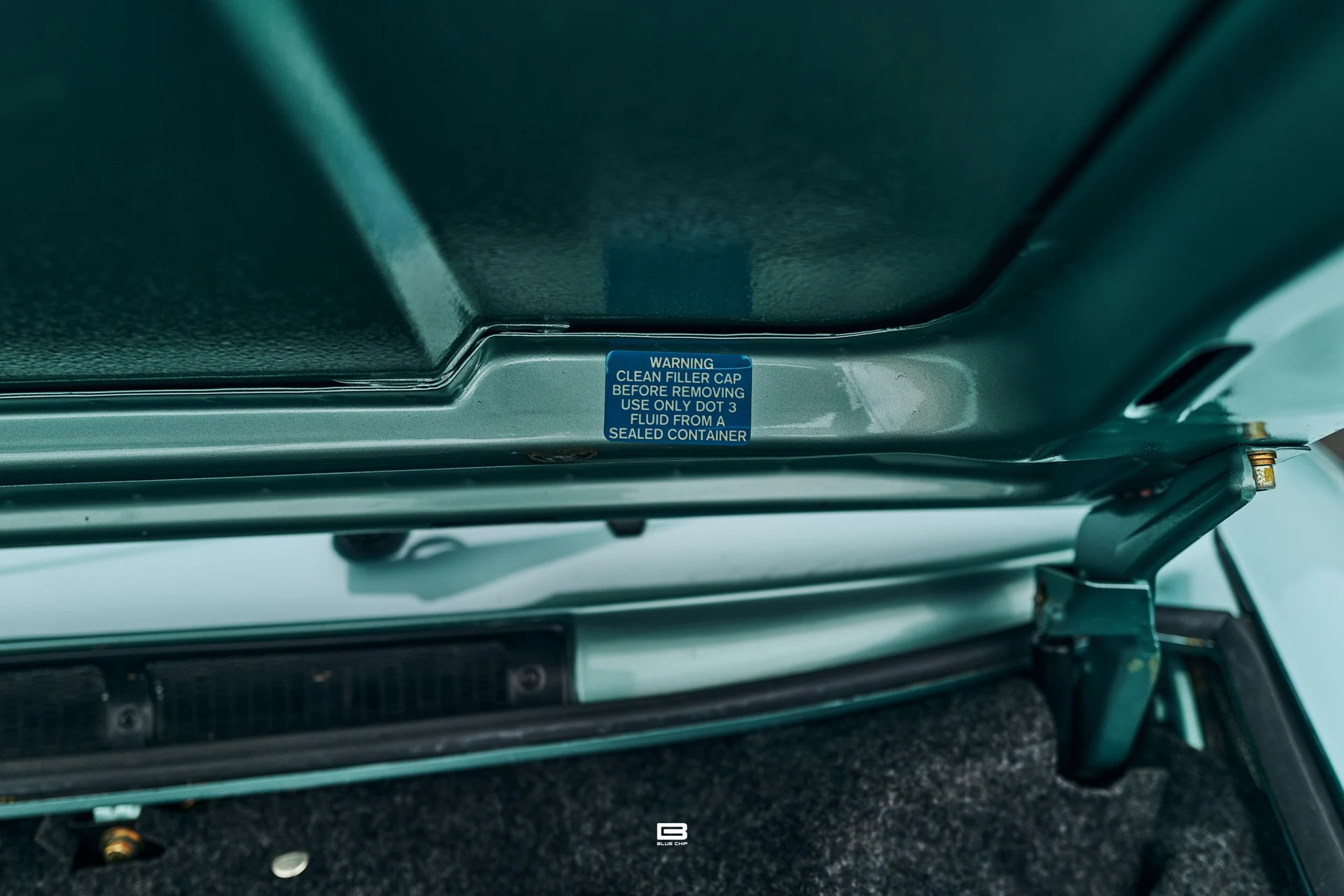 mph089_1387135070_69d96da6b92a609131b5b748_L1210368_48f964809a