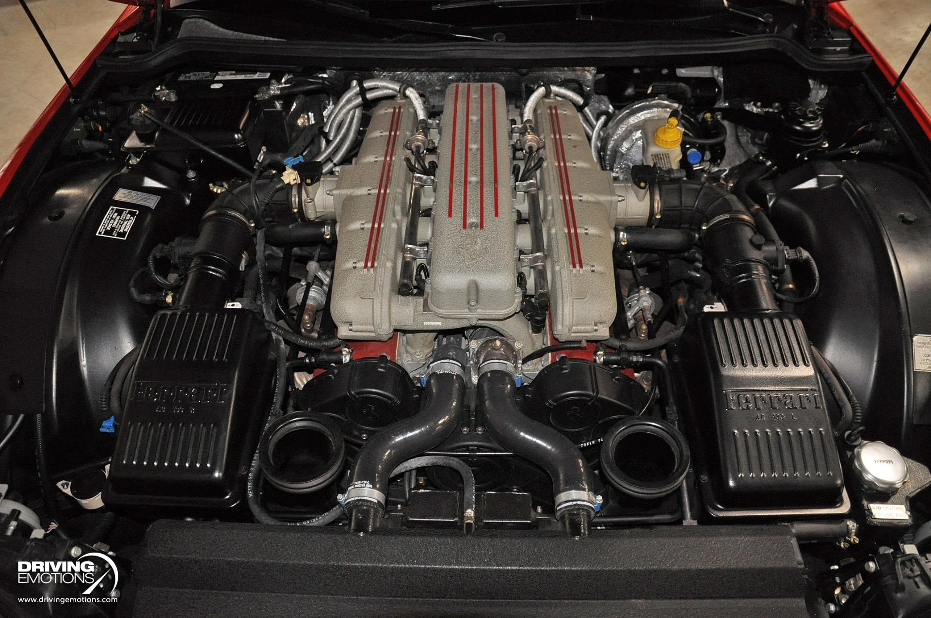 mph089_2456757244_437_p90_l_ded4a5b7f4