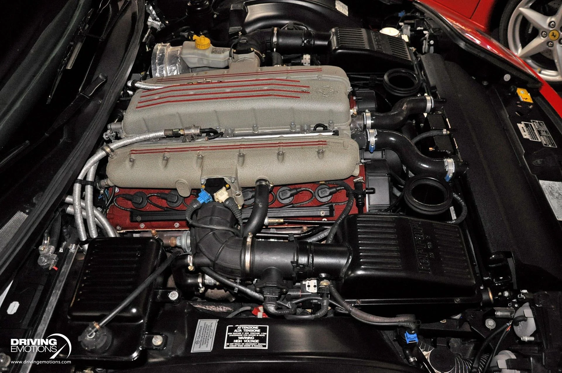 mph090_2791382286_437_p91_l_4ae122bbf1